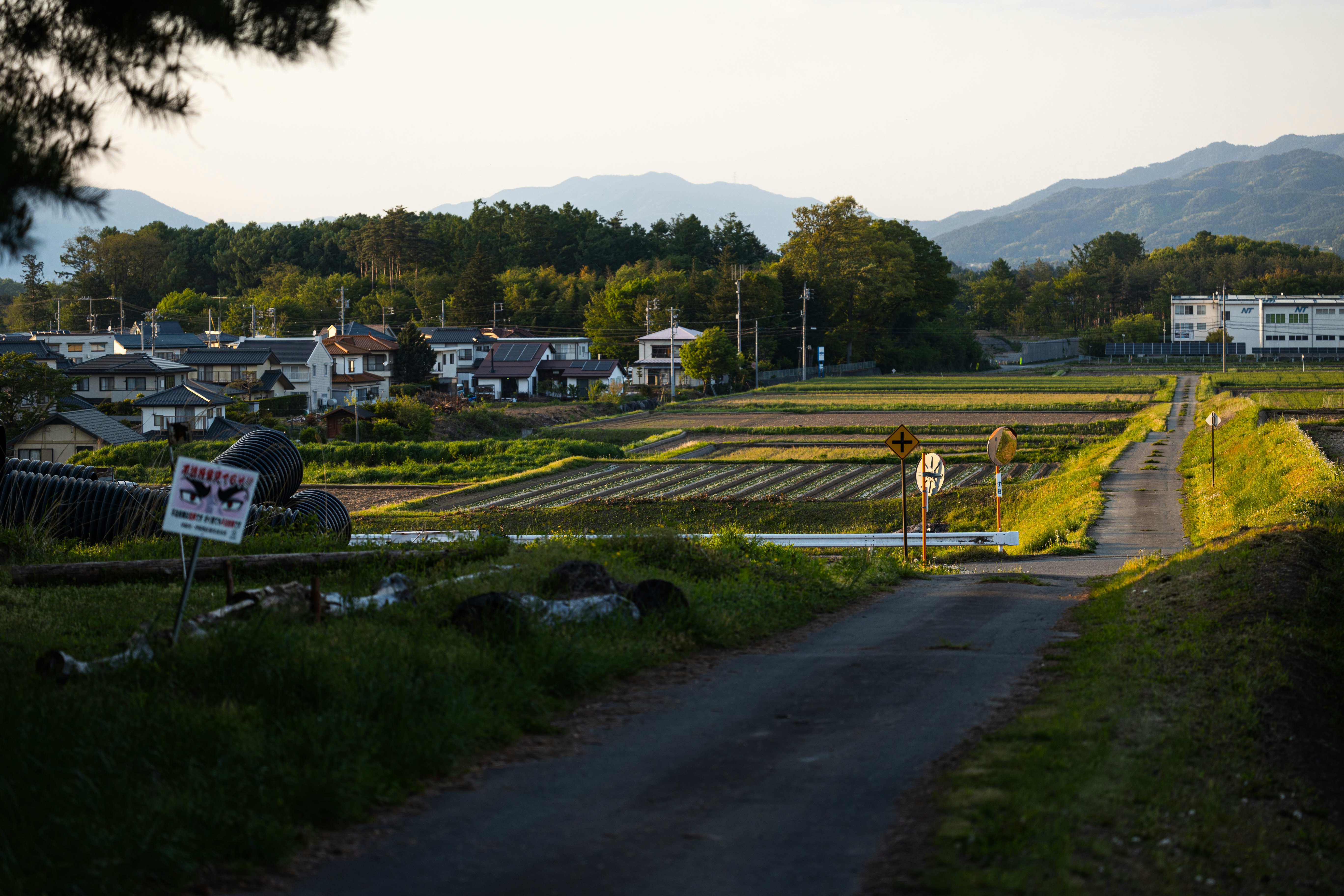 田園の小道と家並みが続く夕暮れの風景