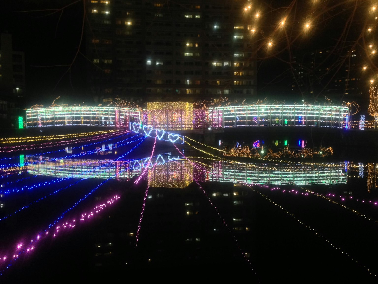 Farbige Lichter, die sich im Wasser spiegeln, mit herzförmigen Dekorationen