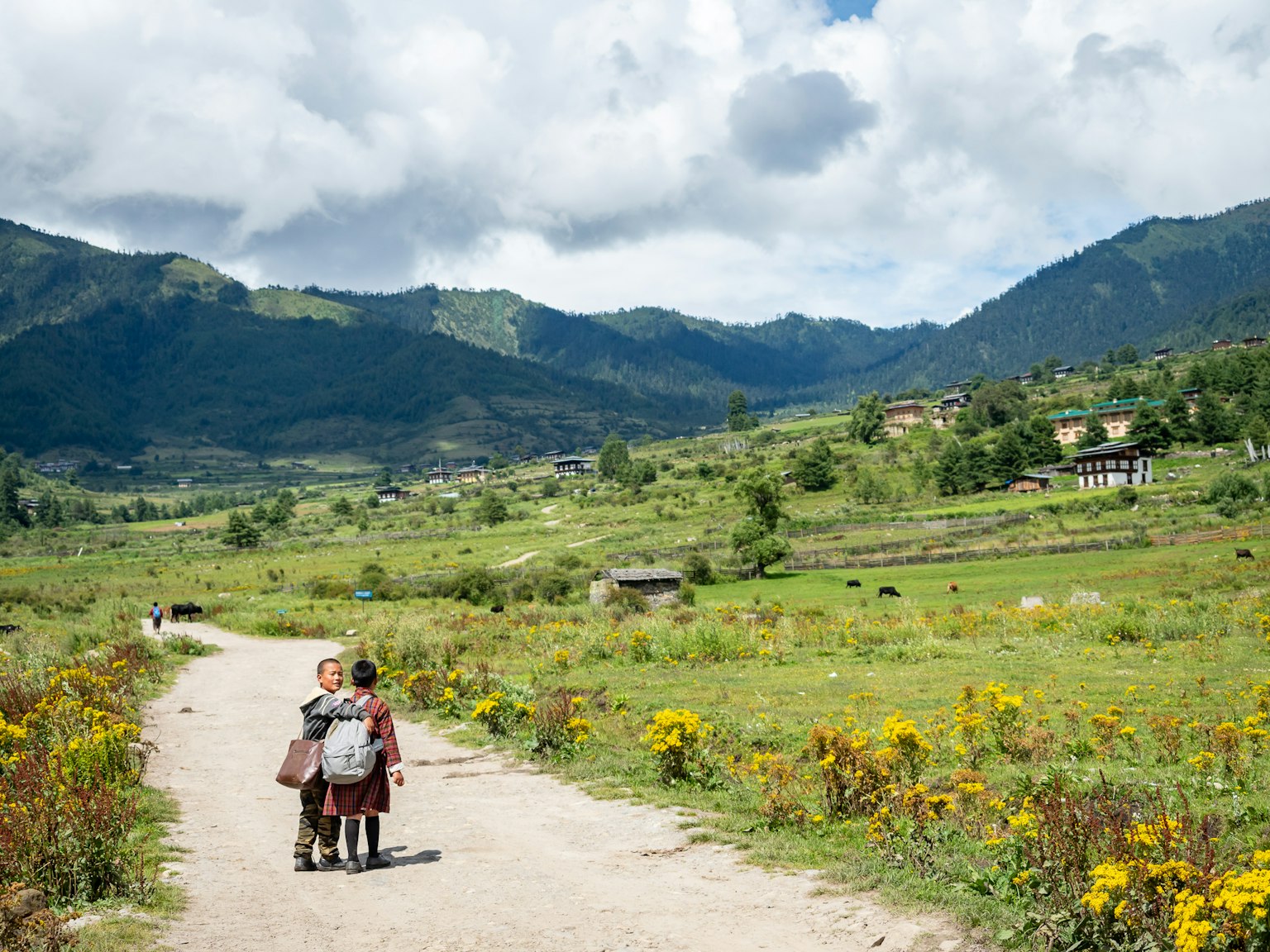 Bambini che si tengono per mano mentre camminano su un sentiero di terra circondato da montagne e fiori selvatici