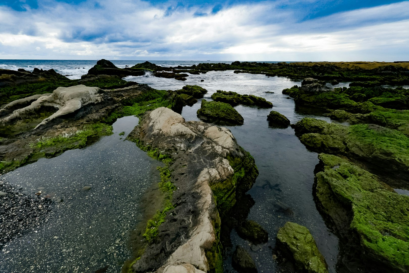 olas sobre una costa rocosa con musgo verde