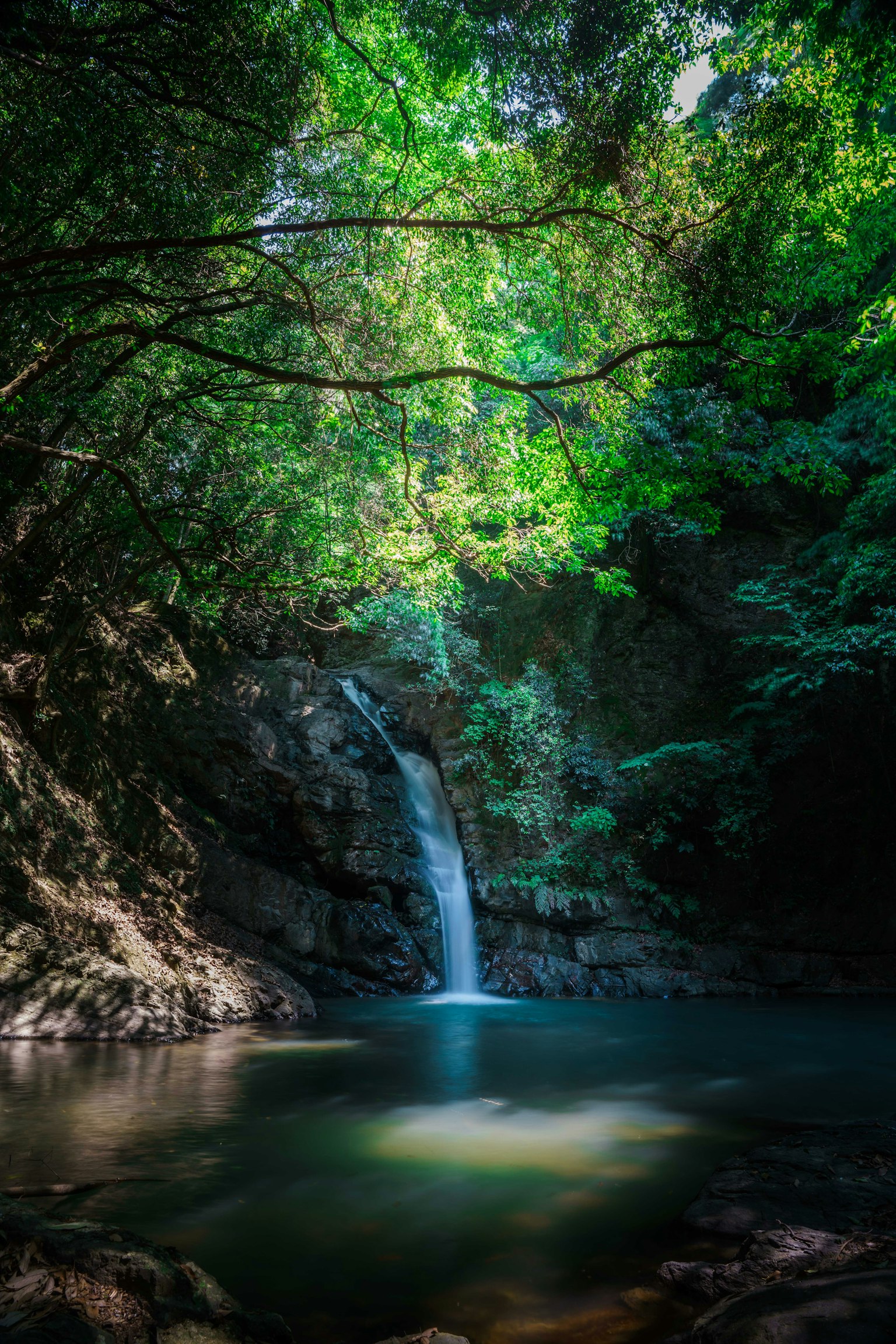 Una cascata serena circondata da una foresta verde e un lago tranquillo