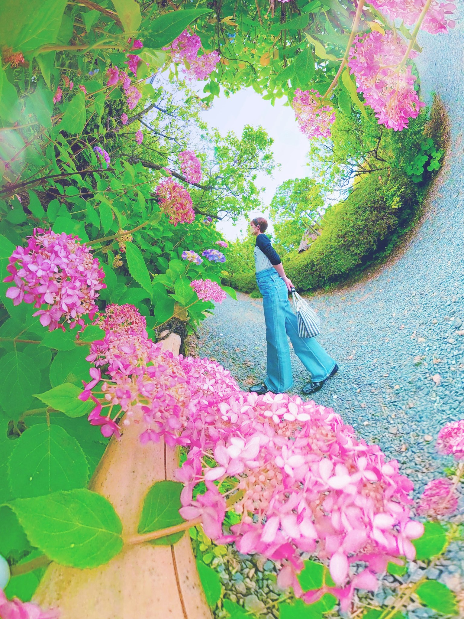 一位女性走在被绿叶和粉色花朵环绕的小路上