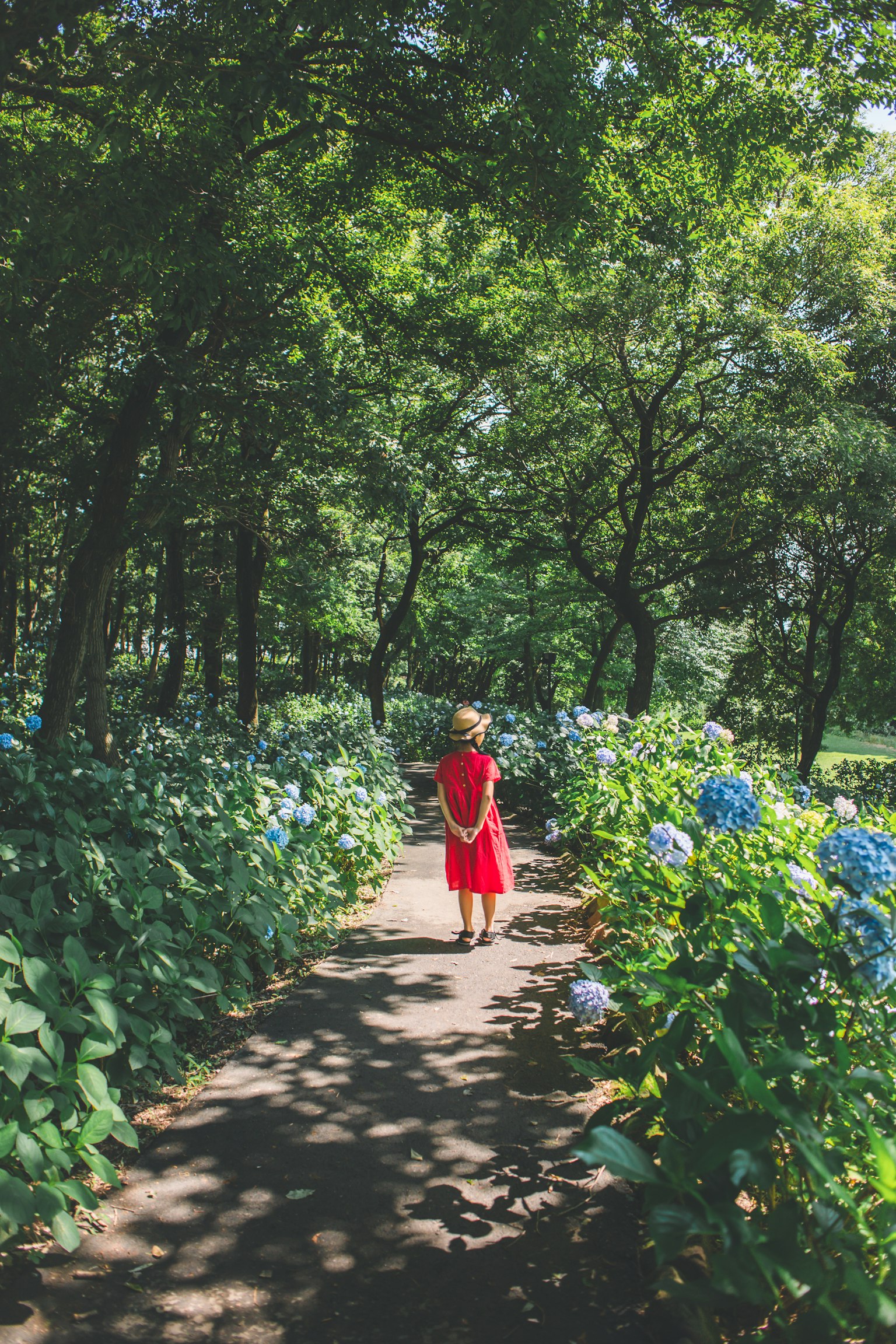 Child in a red dress walking on a path surrounded by green trees and blue flowers