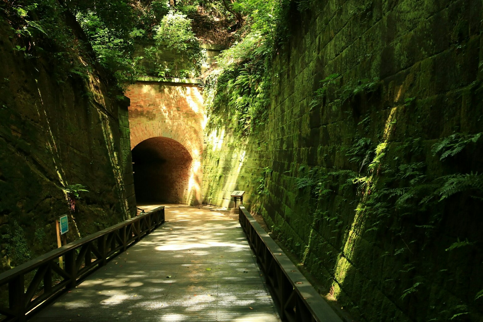 Entrance to a moss-covered tunnel with a serene pathway
