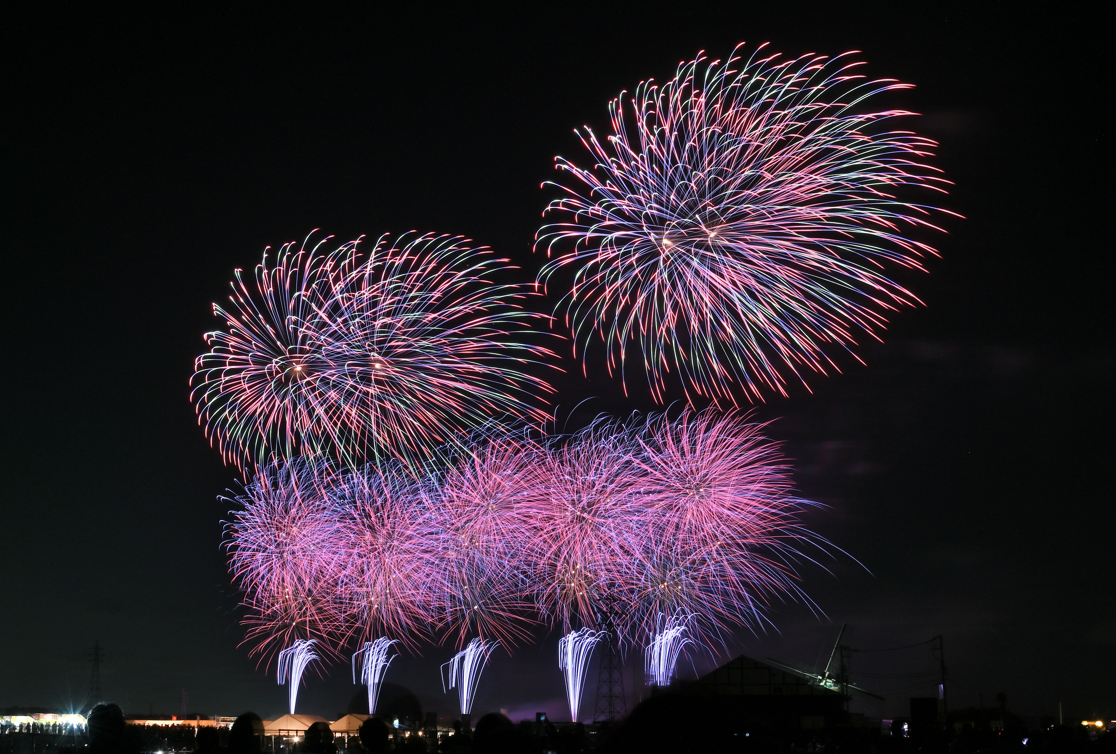 colorful fireworks blooming in the night sky