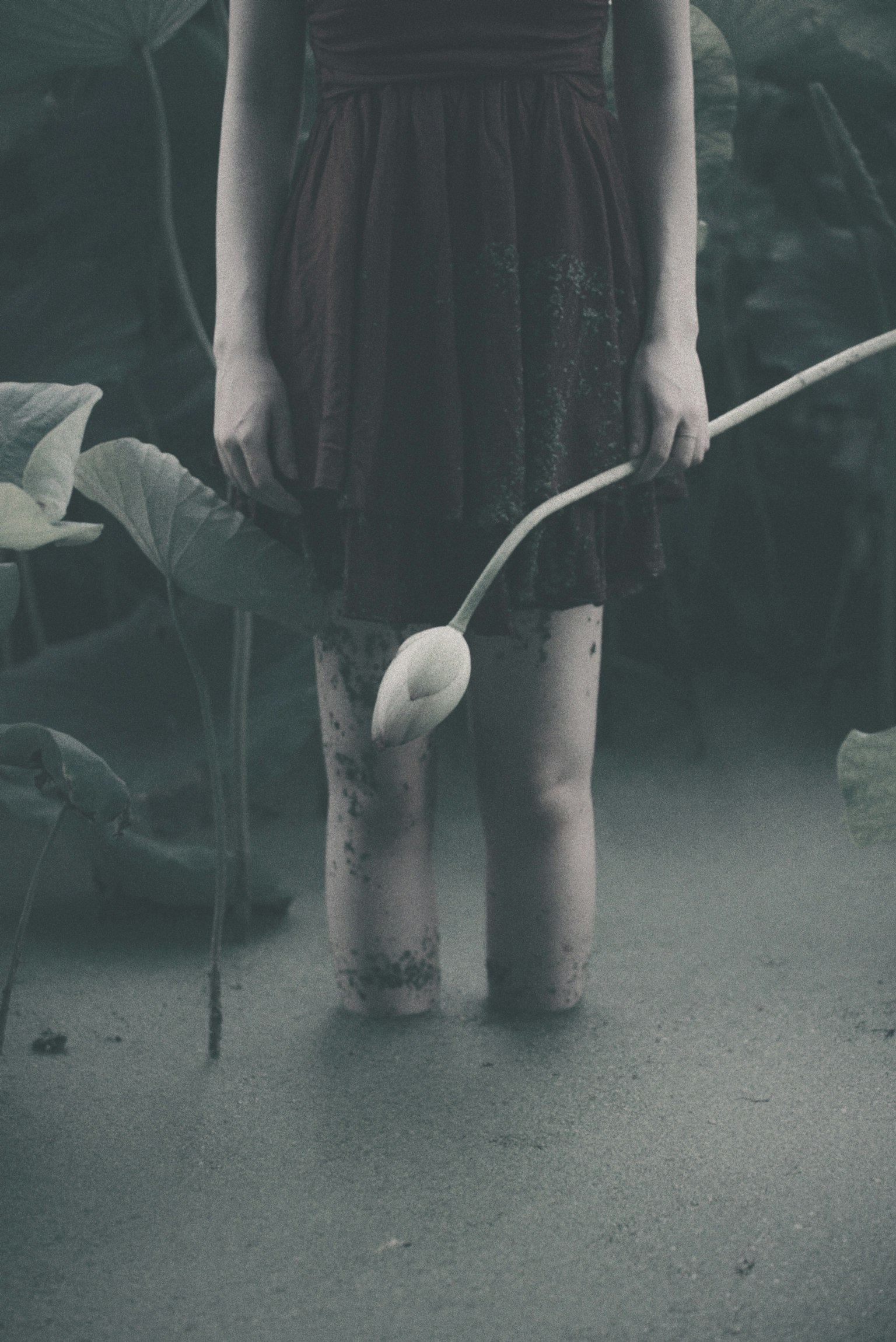 一位女性站在水中，手持花朵，氛围阴暗而忧郁