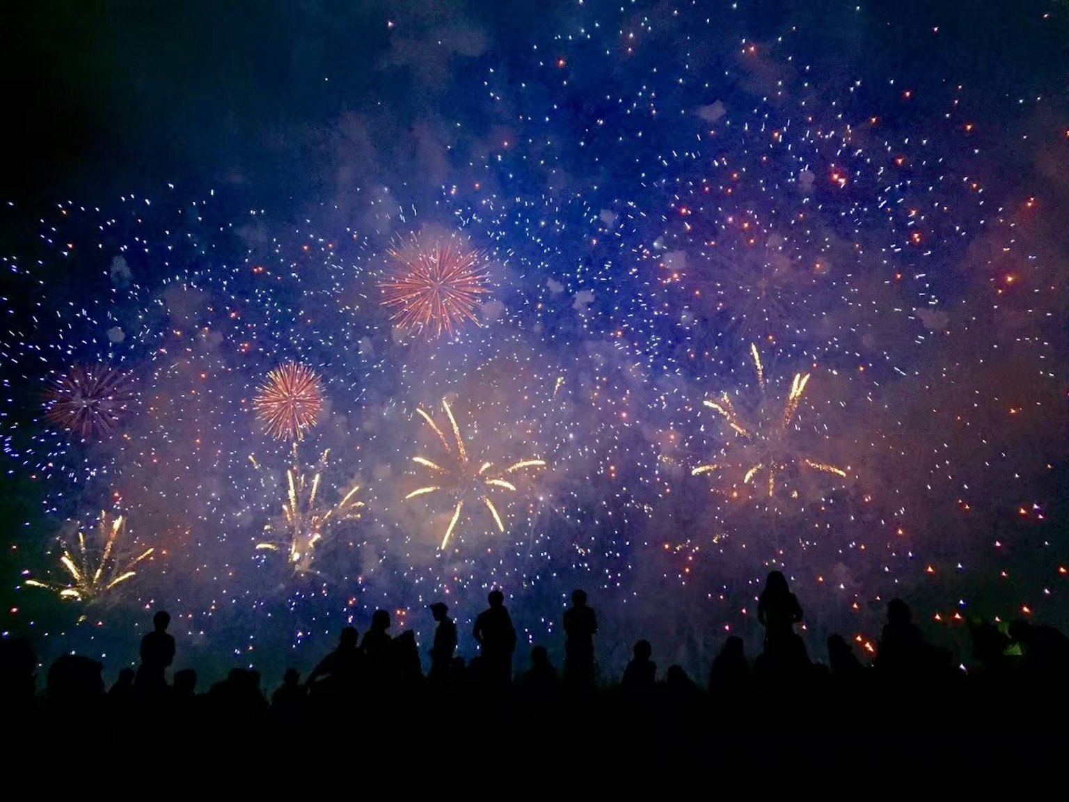 Fuochi d'artificio colorati che illuminano il cielo notturno con spettatori in silhouette