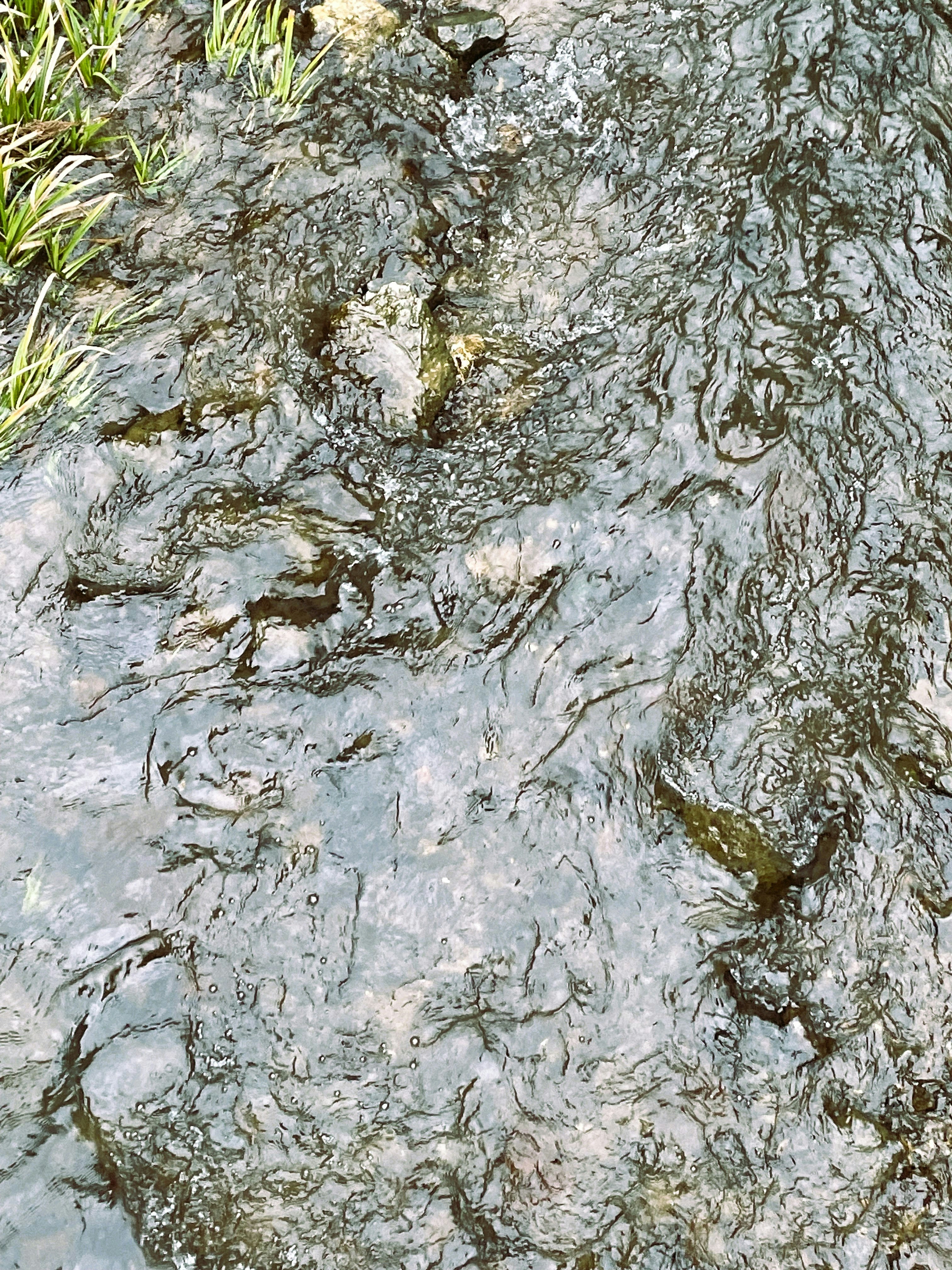 strömendes Flusswasser und Felsen auf der Wasseroberfläche