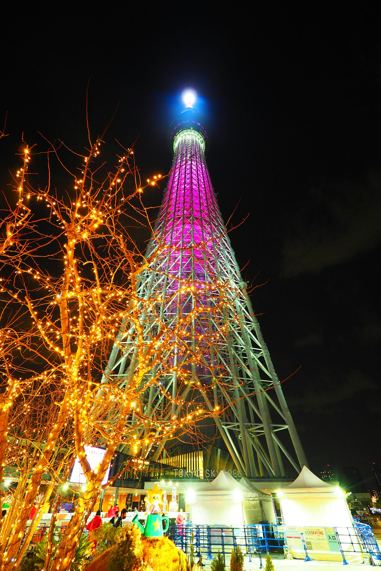 Tokyo Skytree at night illuminated with blue top and purple pink lighting, surrounded by illuminated trees