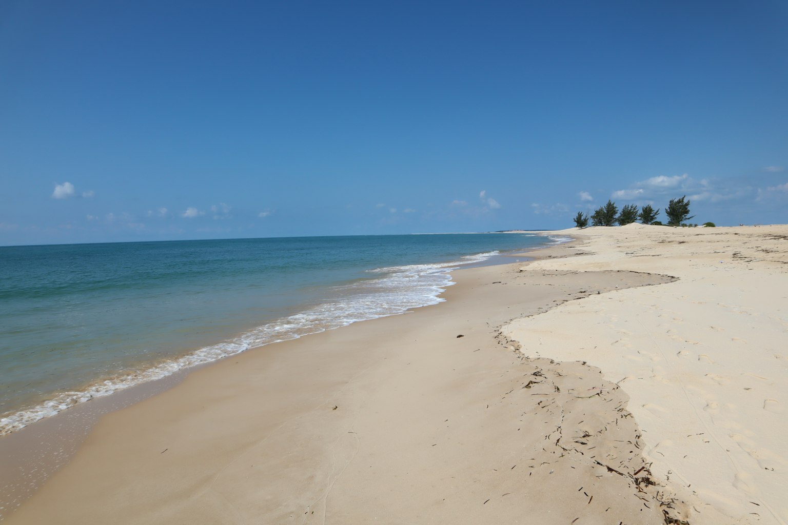 Pemandangan pantai dengan langit biru dan laut tenang garis pantai berpasir dan pohon-pohon di kejauhan