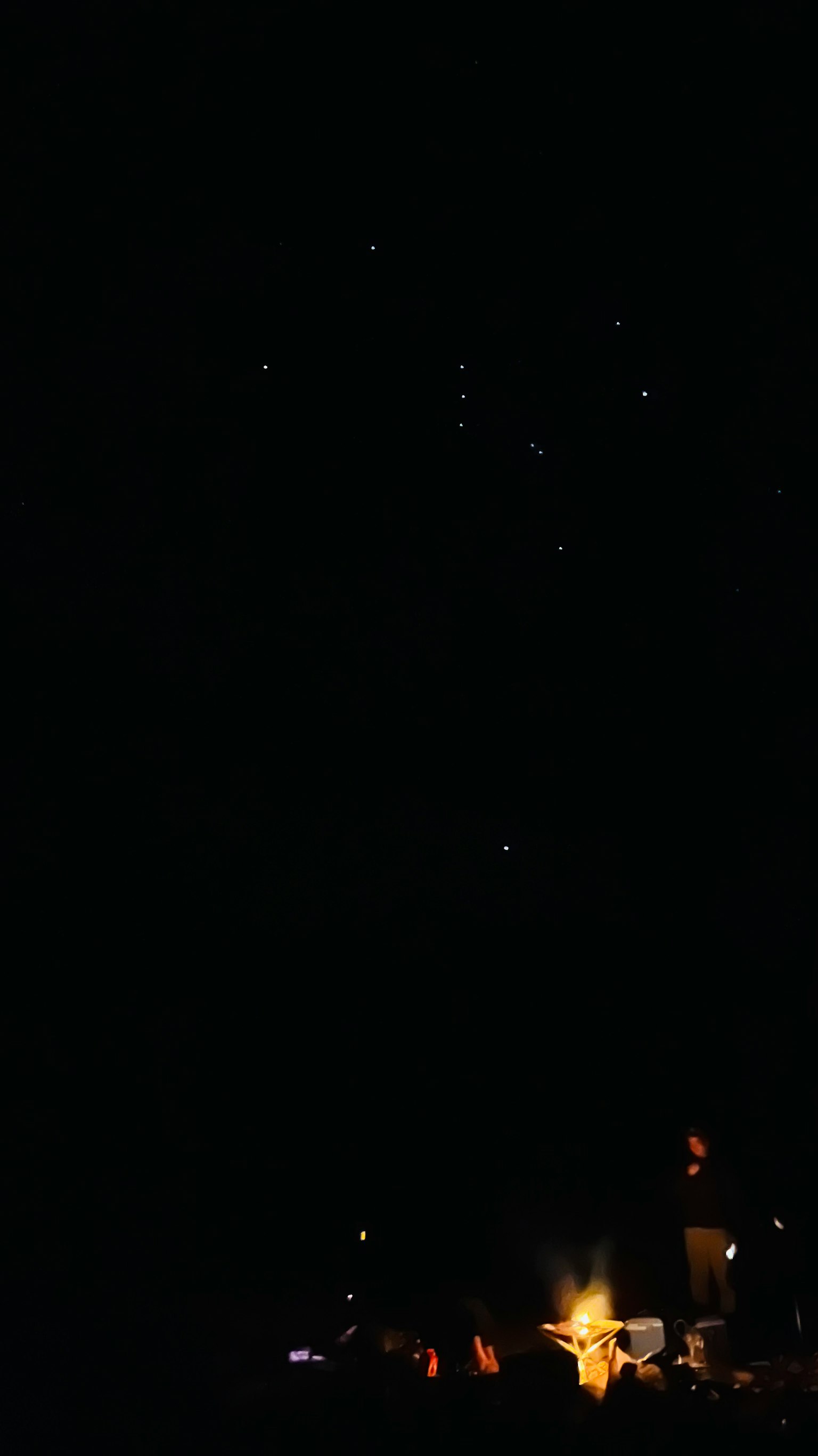 烟花照亮夜空与人们的轮廓