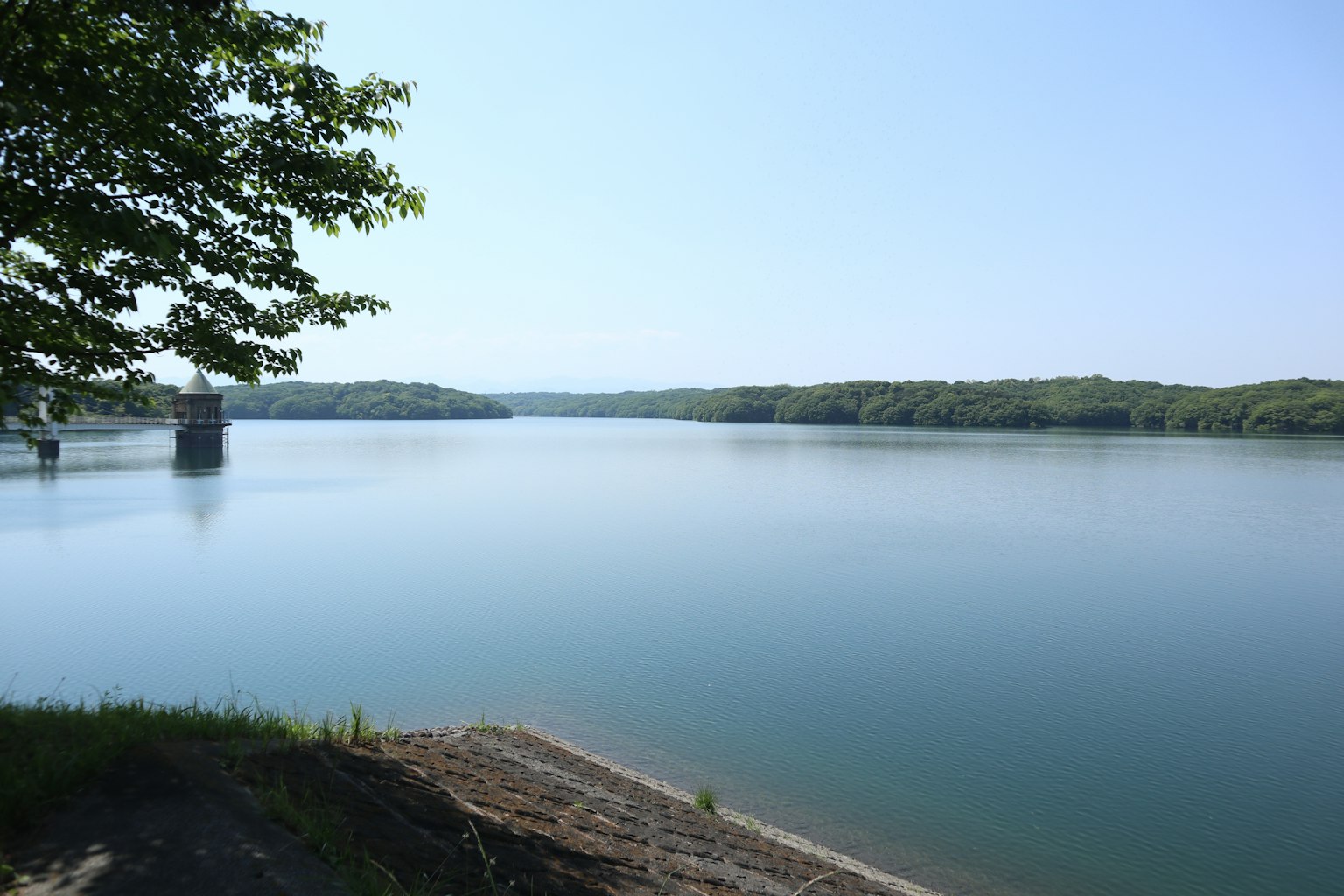 Escena de lago tranquilo con cielo azul y árboles verdes circundantes reflejándose en el agua tranquila