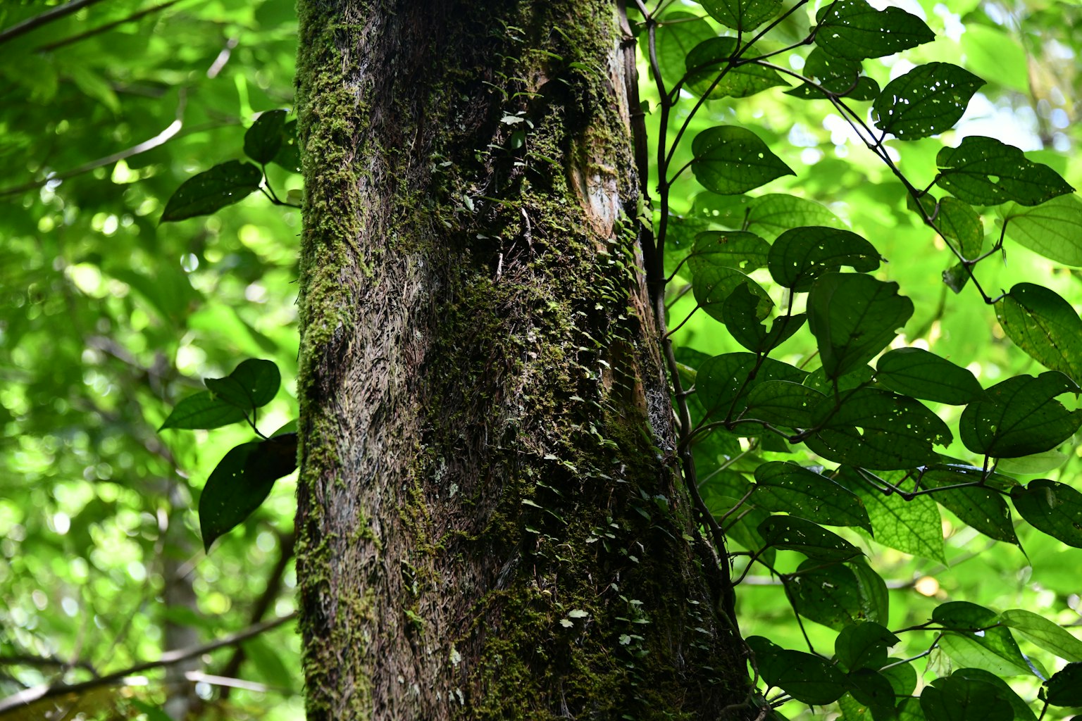 photo-VzPQiZUvkaCnA7negjfB-image