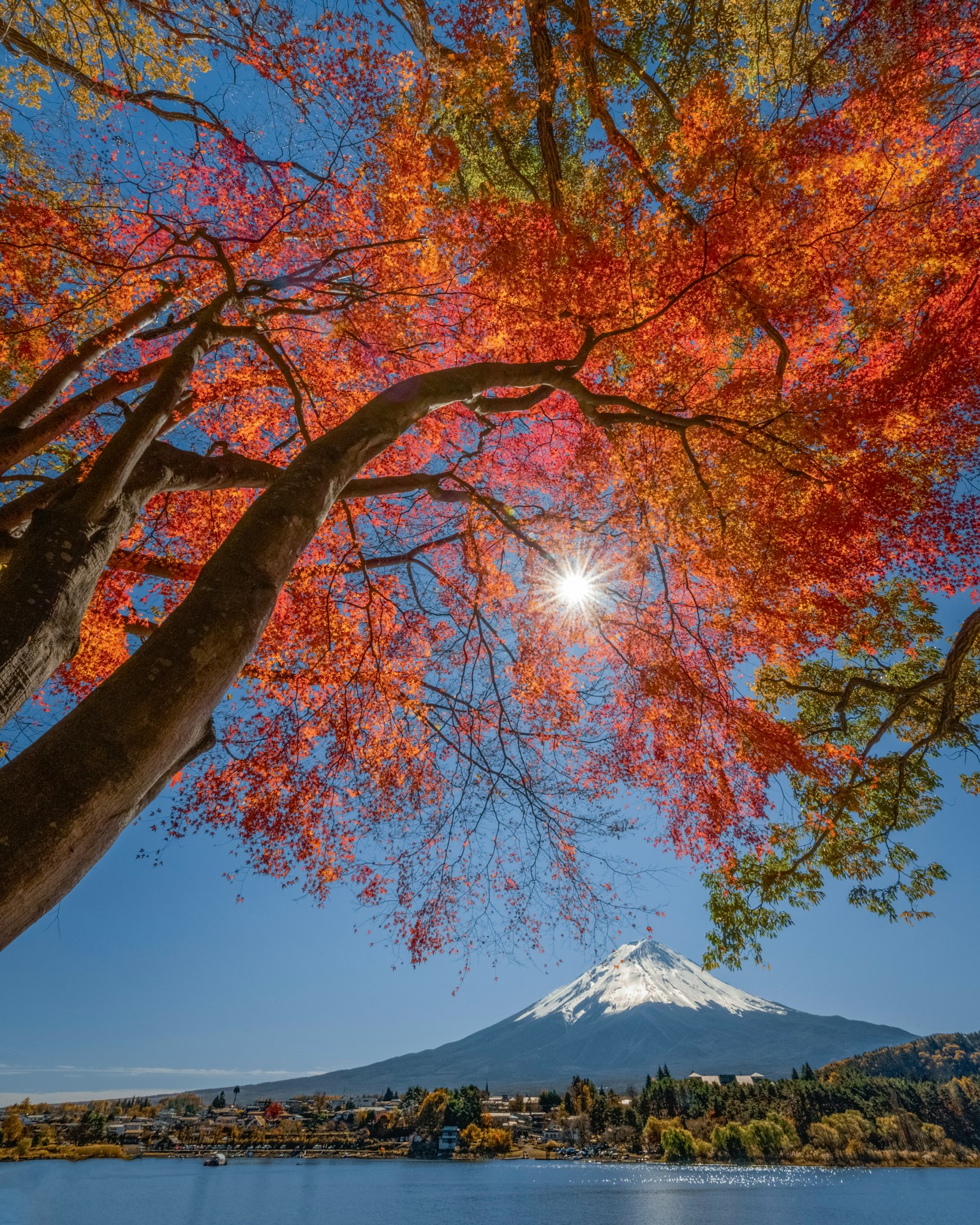 Una vista mozzafiato del monte Fuji incorniciata da foglie autunnali vibranti