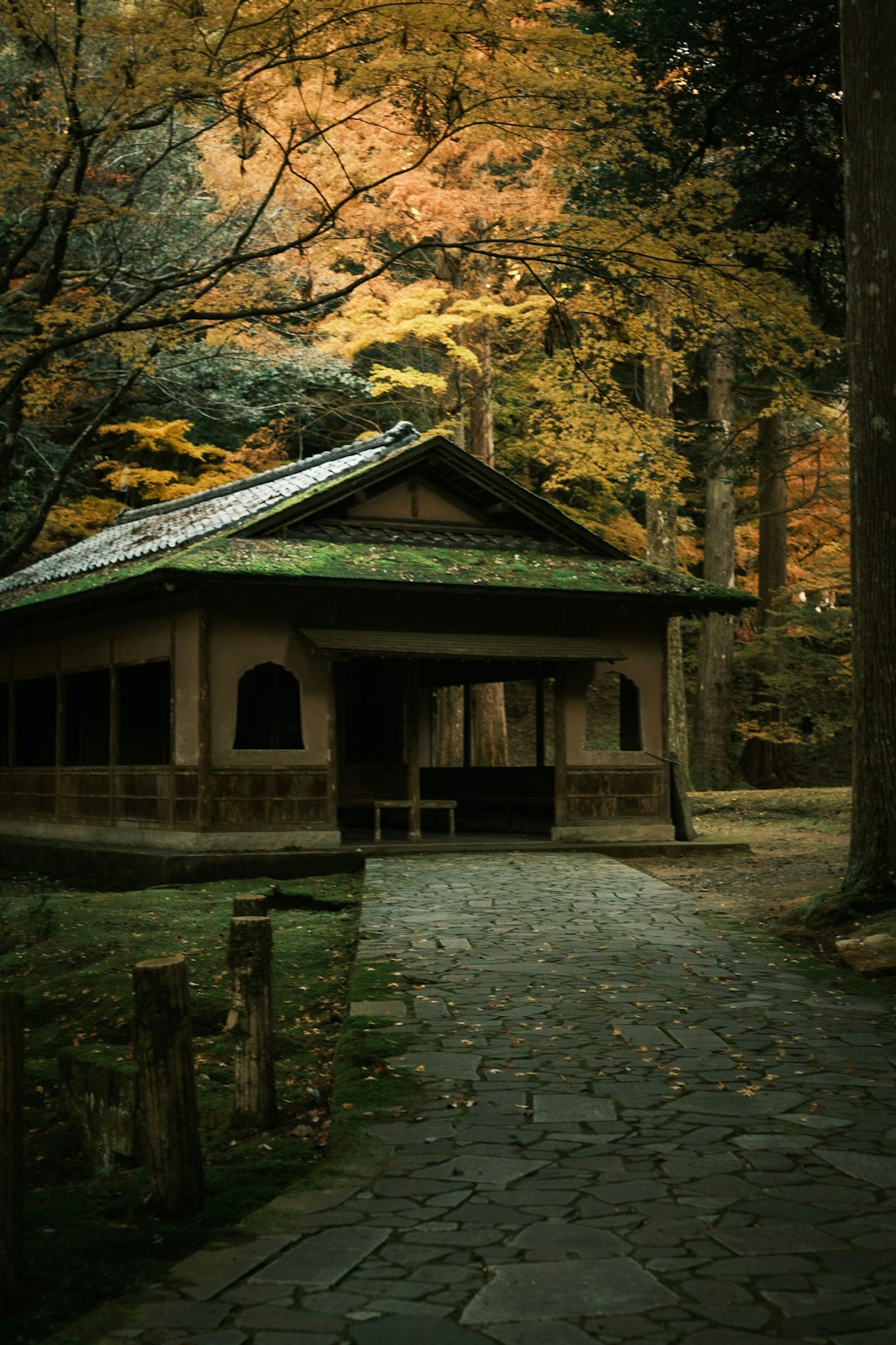 Edificio japonés tradicional rodeado de follaje otoñal