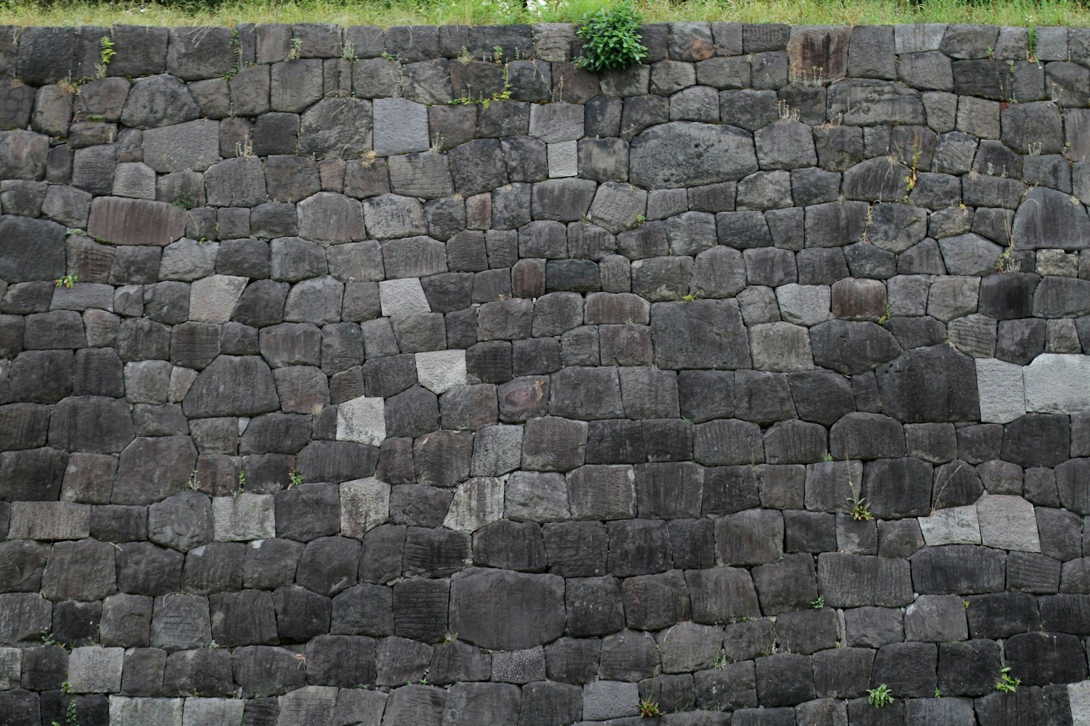 Muro di pietra testurizzato con macchie di vegetazione in alto
