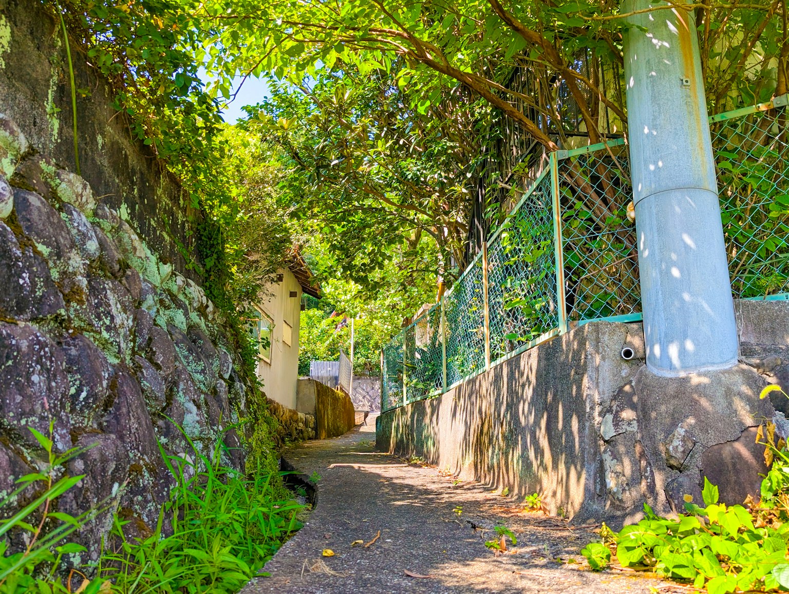 photo-W02mvlesnl2YX0GGB1ah-image