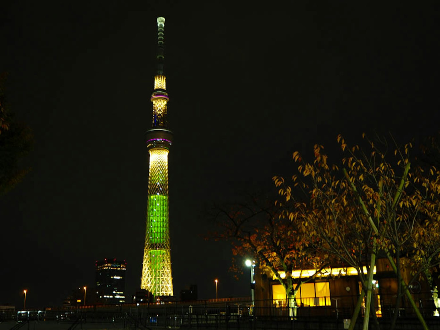 Tokyo Skytree bellamente iluminado por la noche