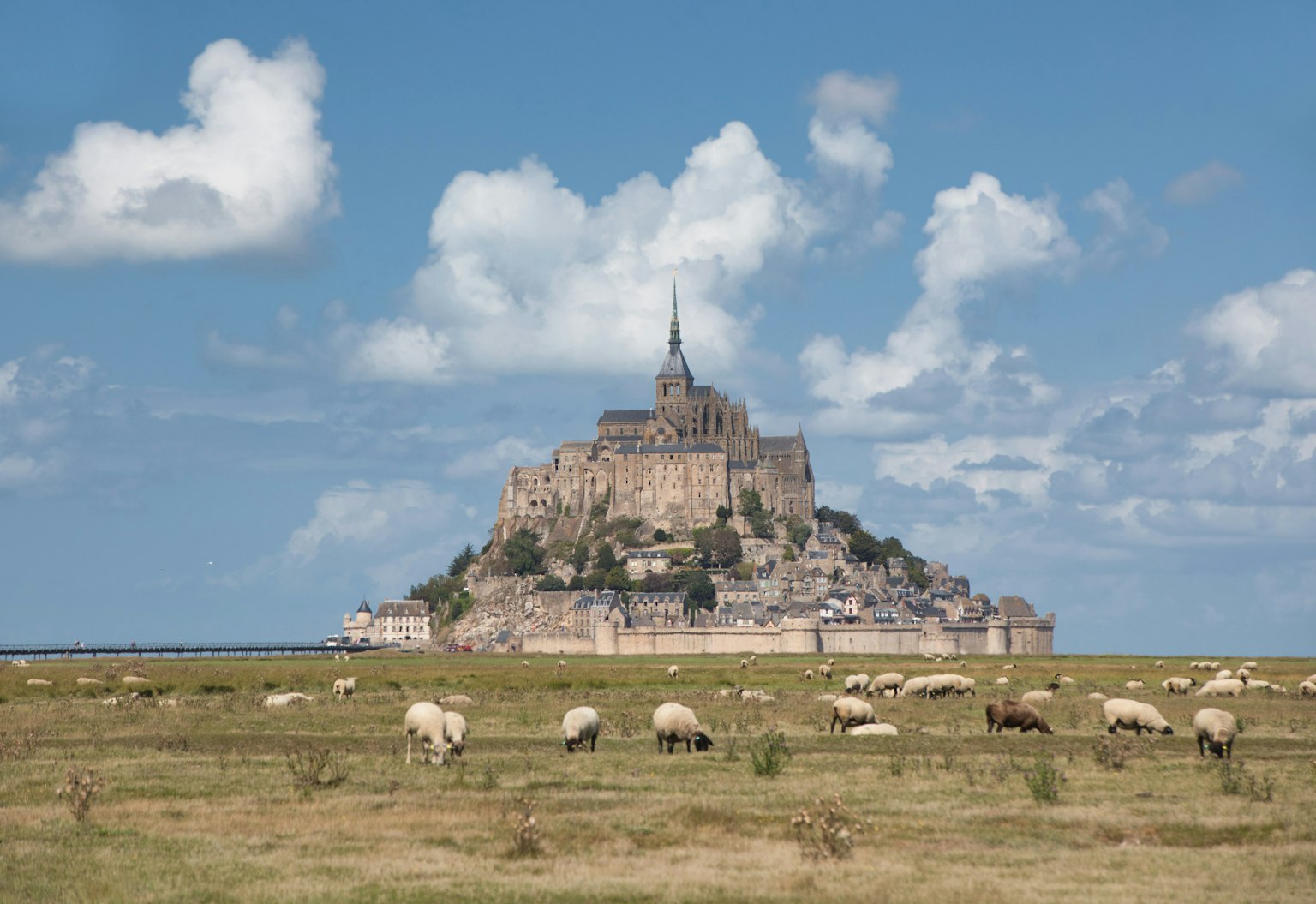Cảnh đẹp của Mont Saint-Michel với cừu gặm cỏ trên đồng cỏ xanh dưới bầu trời xanh