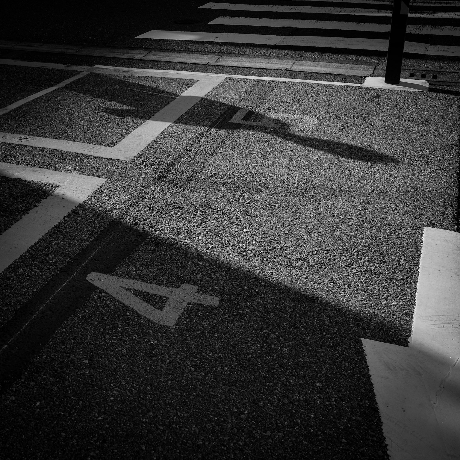 Black and white image of a parking space with shadows cast on the pavement