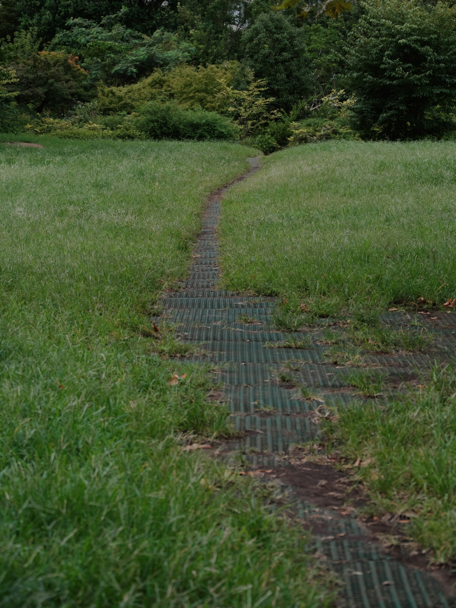A winding path made of tiles surrounded by lush green grass