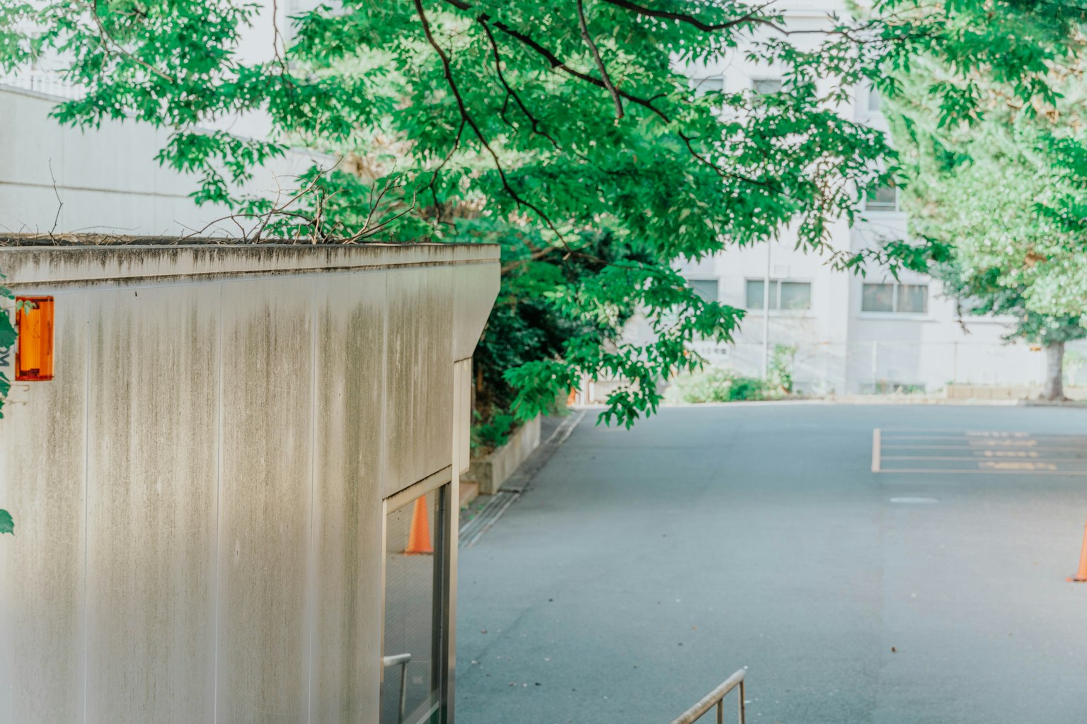An empty lot surrounded by green trees with part of a white building