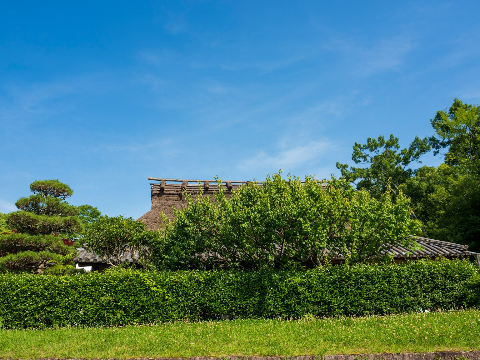 photo-W171YKMeVOHPBdN7vg0B-image