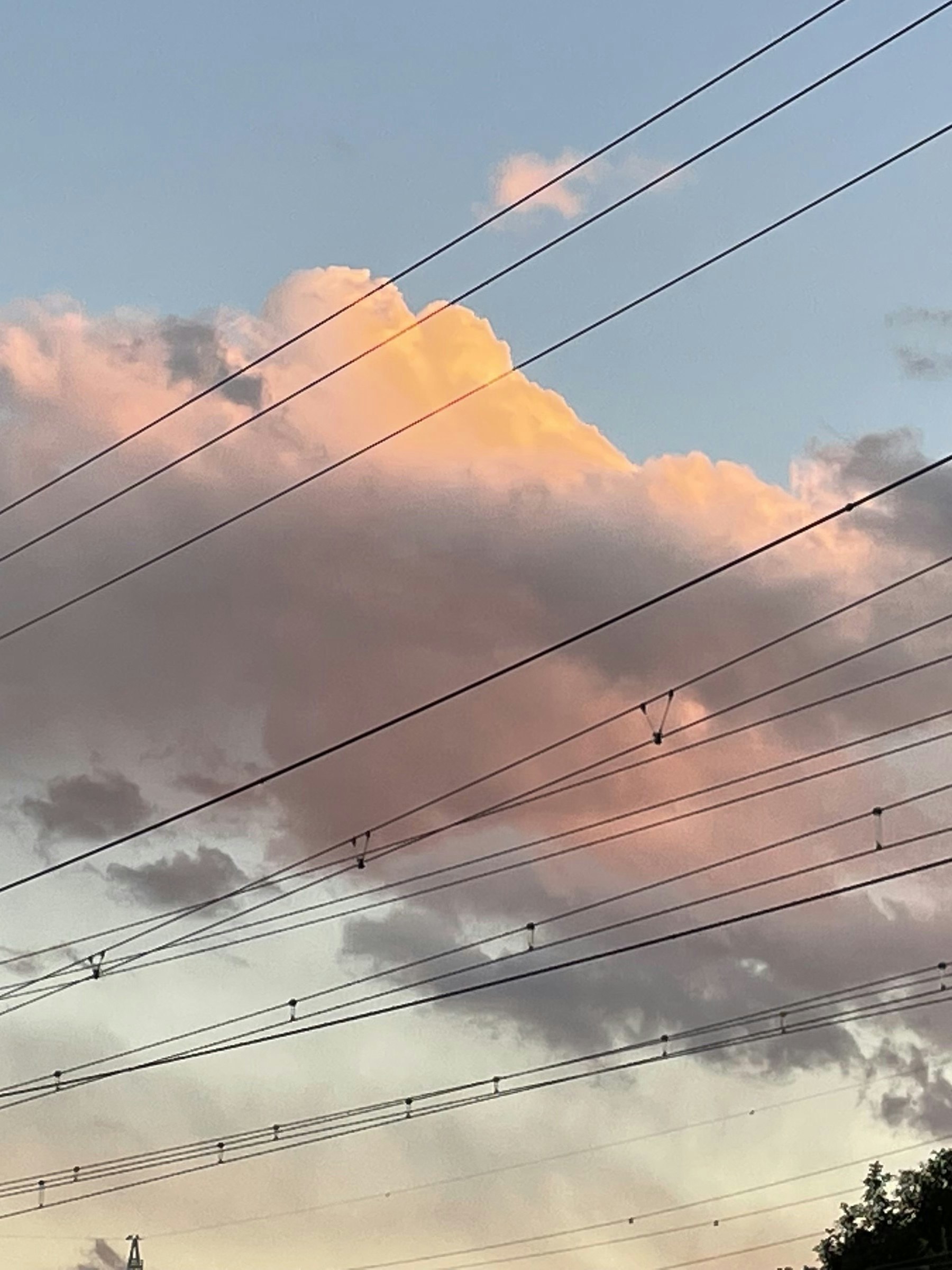 夕方の散歩中に見上げた夕焼け雲と空