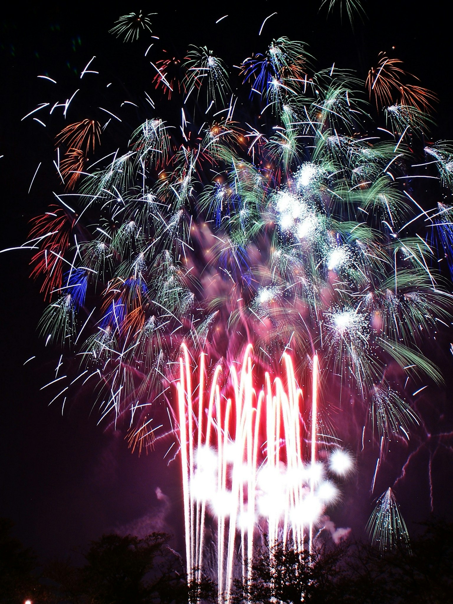Un spectacle de feux d'artifice colorés illuminant le ciel nocturne