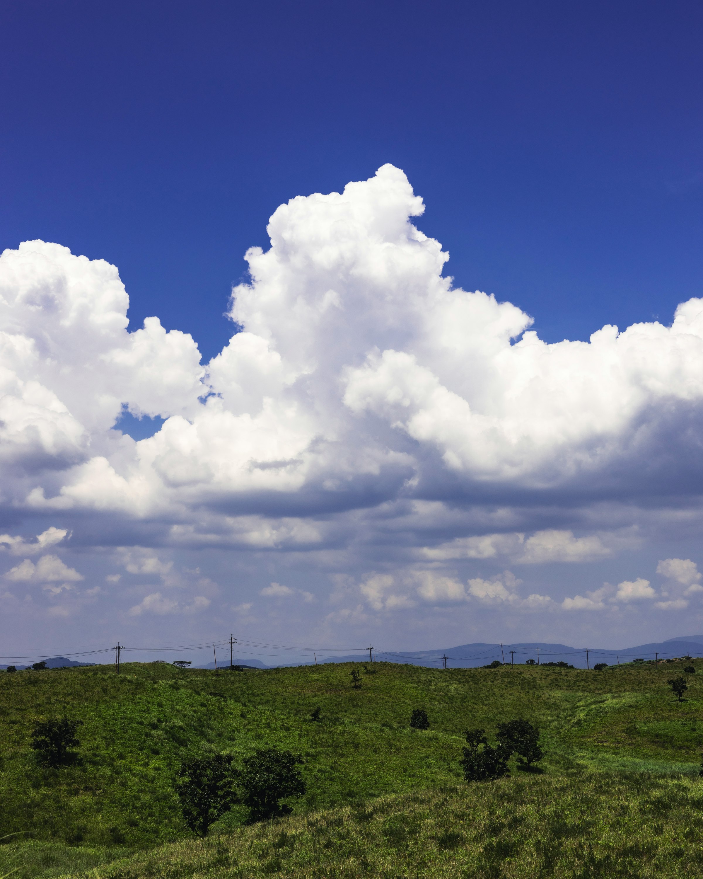 青空の下に広がる緑の丘と雲