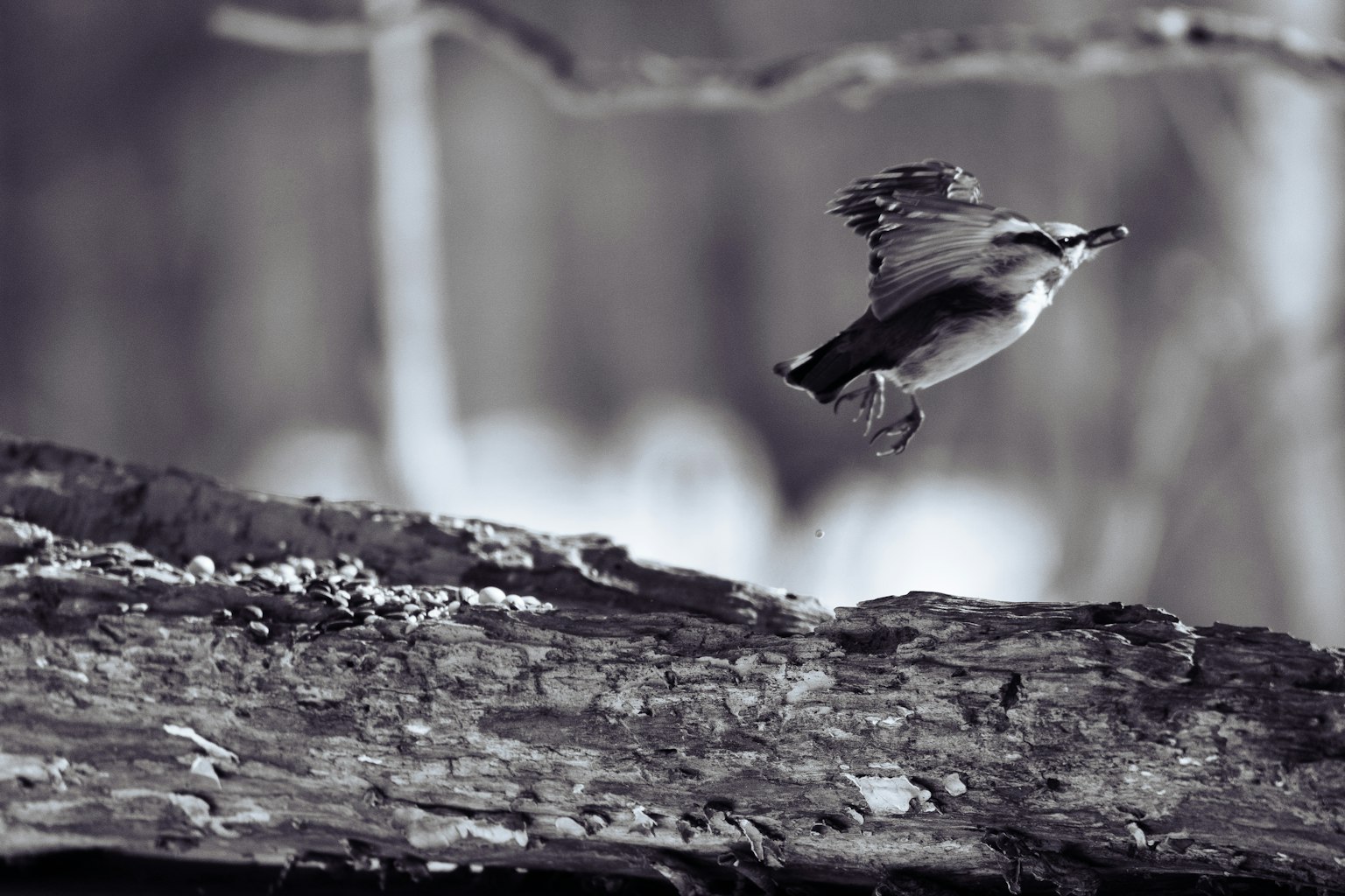 photo-W22weG0YsNT8s3HPsOsW-image
