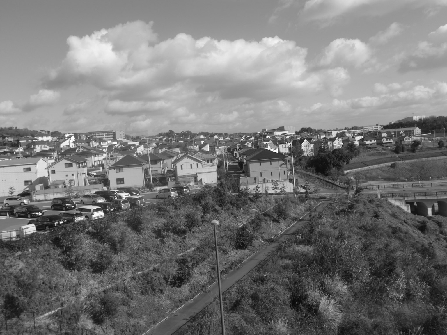 Black and white landscape photo featuring houses and a cloudy sky with green hills