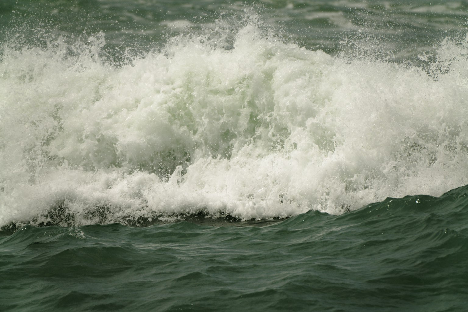 photo-W2VliguTjFmoxcTZ16D6-image