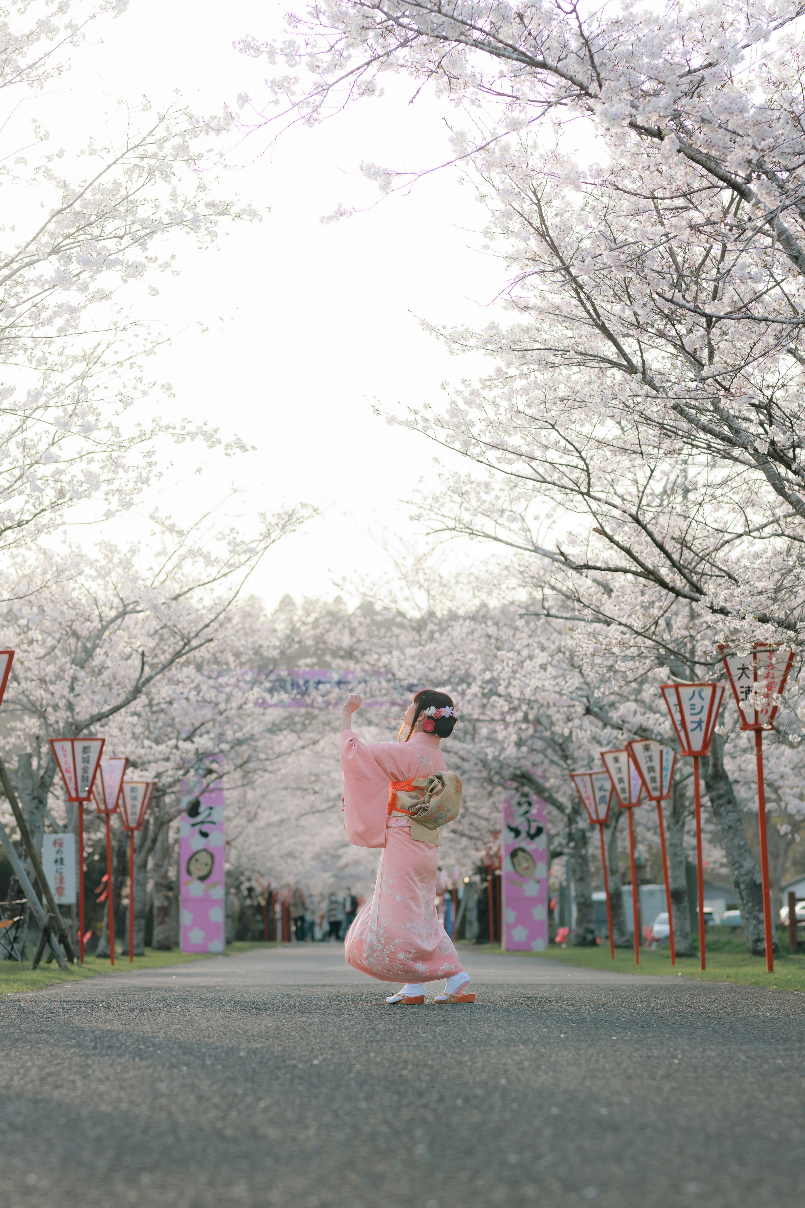 桜並木の参道でピンクのドレスを着た人物