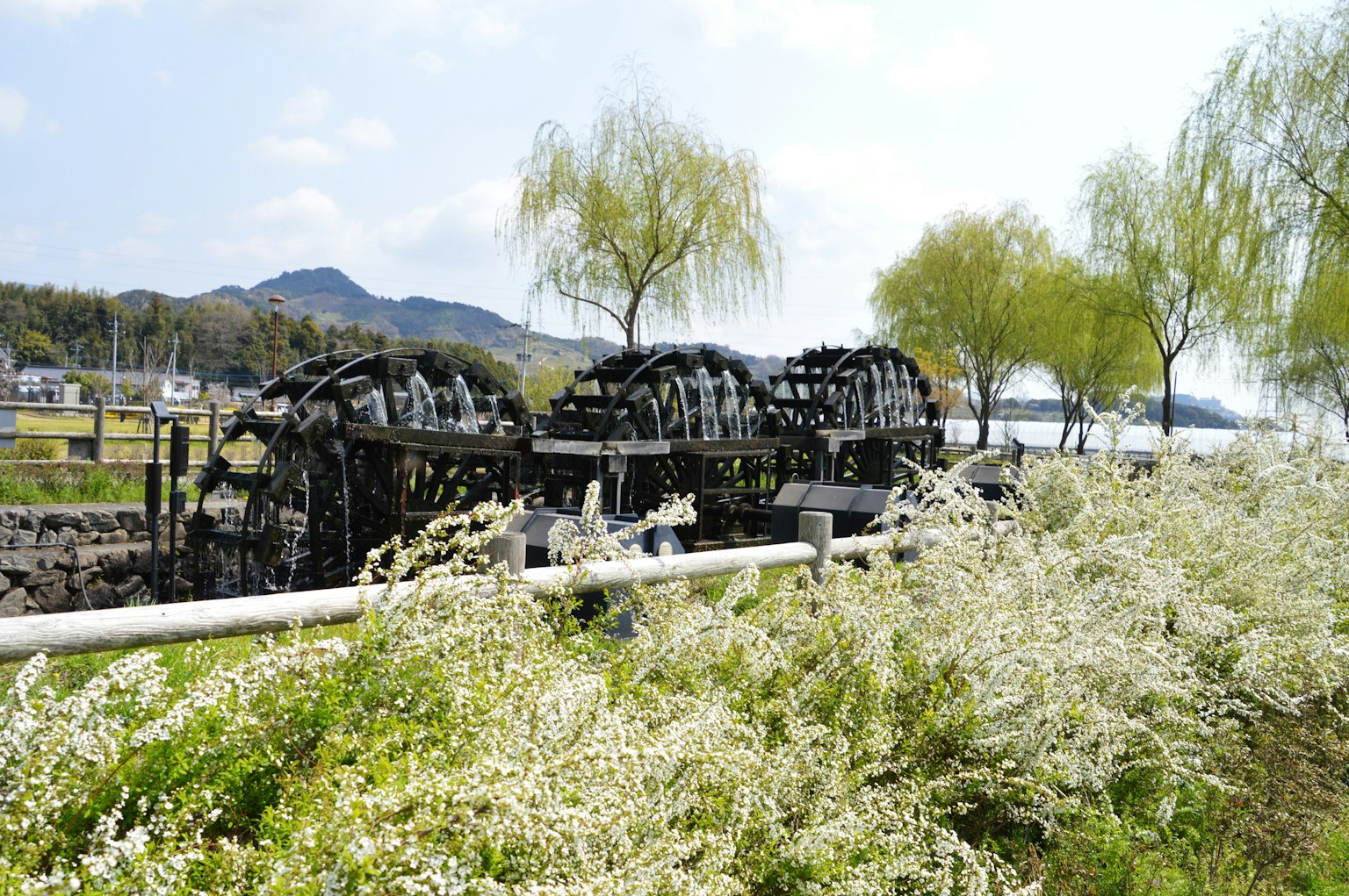 Scenic view featuring waterwheels and white flowers with blue sky and mountains in the background