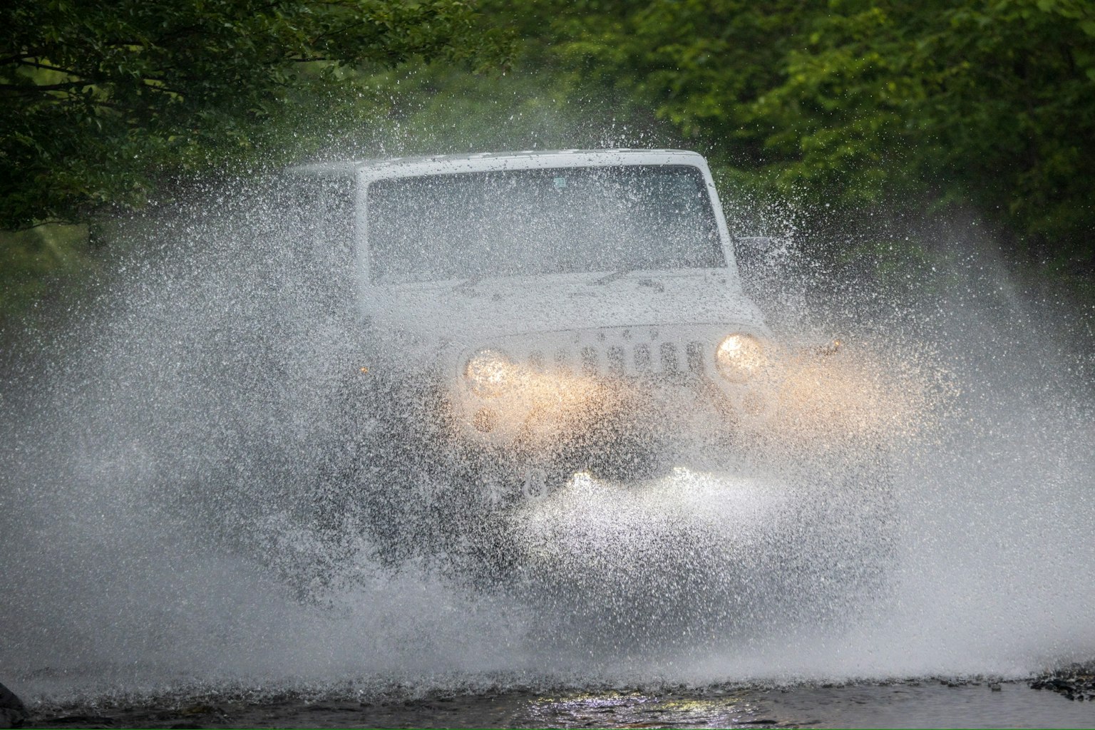 Xe Jeep trắng vượt qua vũng nước với nền là cây cối xanh