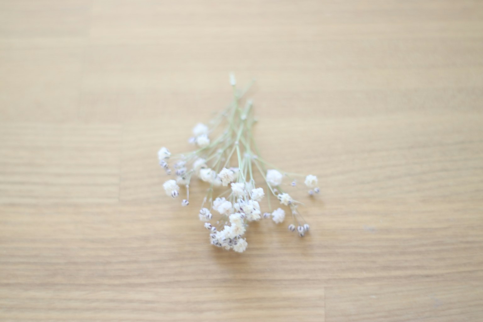 Un bouquet de petites fleurs blanches posé sur une table en bois