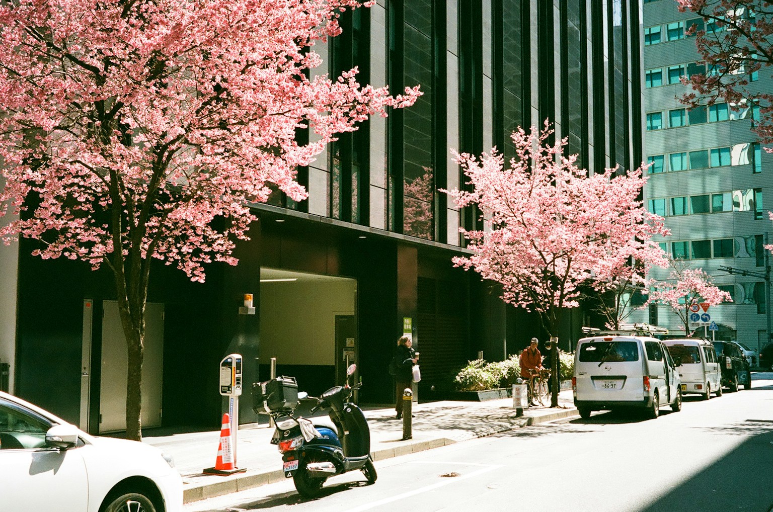 Street view with cherry blossom trees and modern buildings people walking