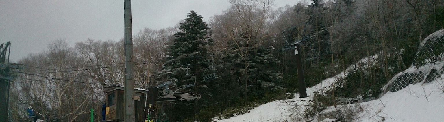 雪に覆われた木々と電柱のある風景