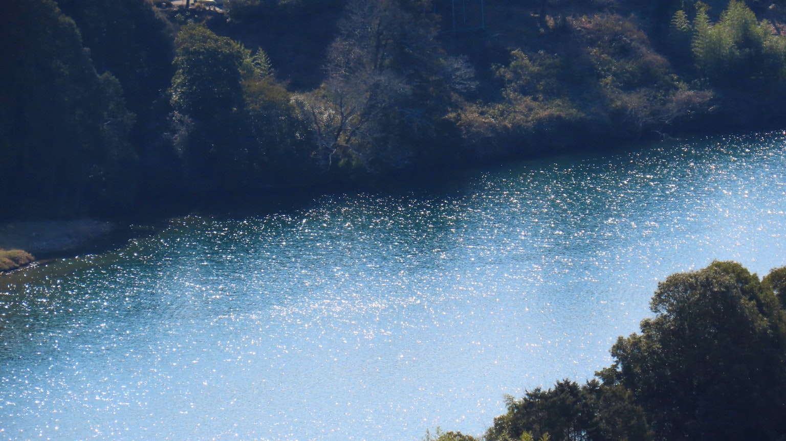 Une rivière bleue sereine entourée de verdure luxuriante