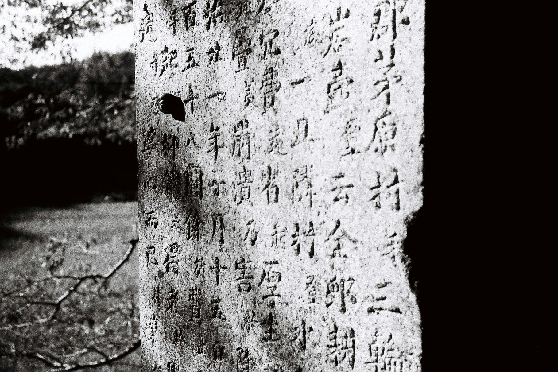 石碑に刻まれた文字と陰影のある史跡の壁面