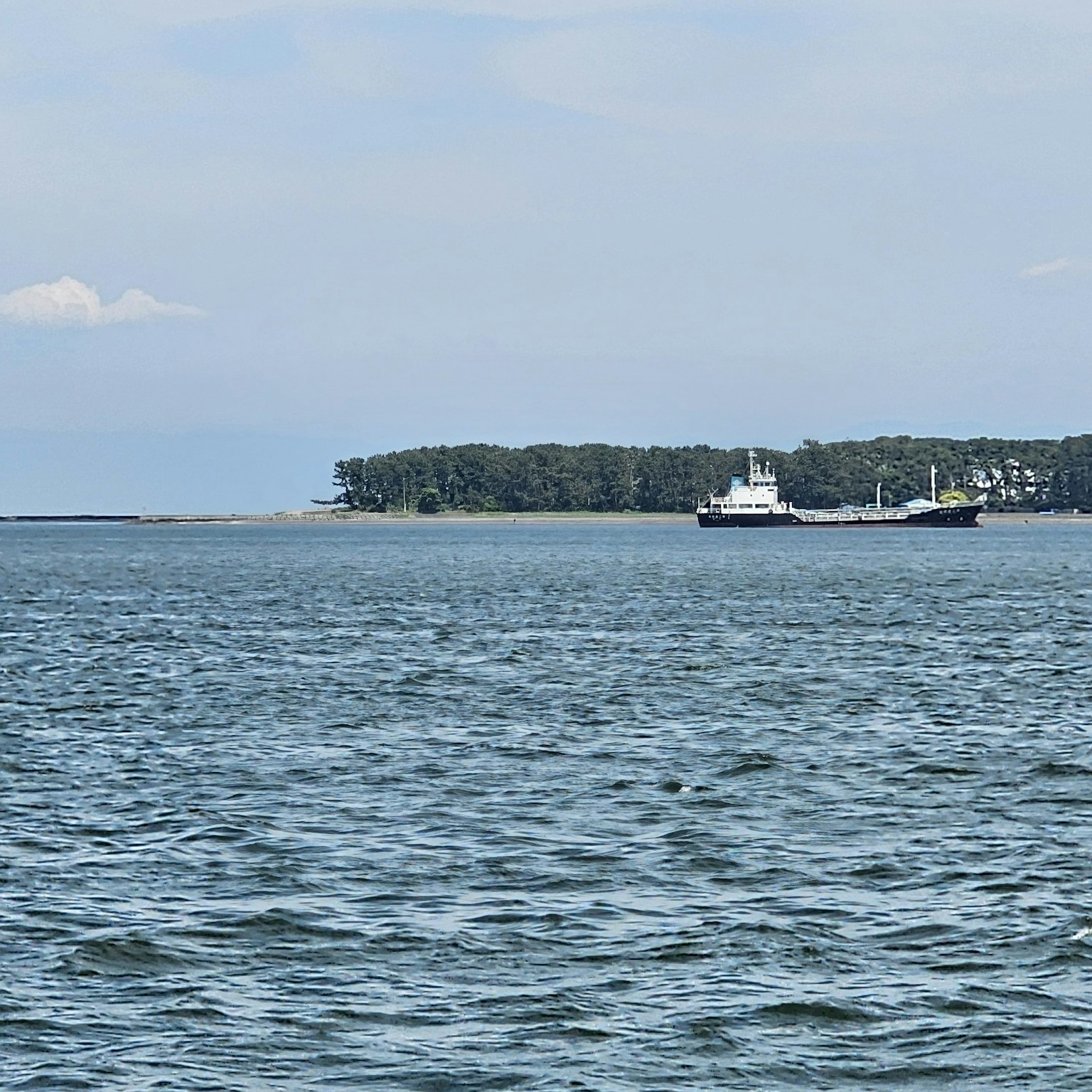 Ruhiges Meer mit einem Schiff und bewaldeter Küste