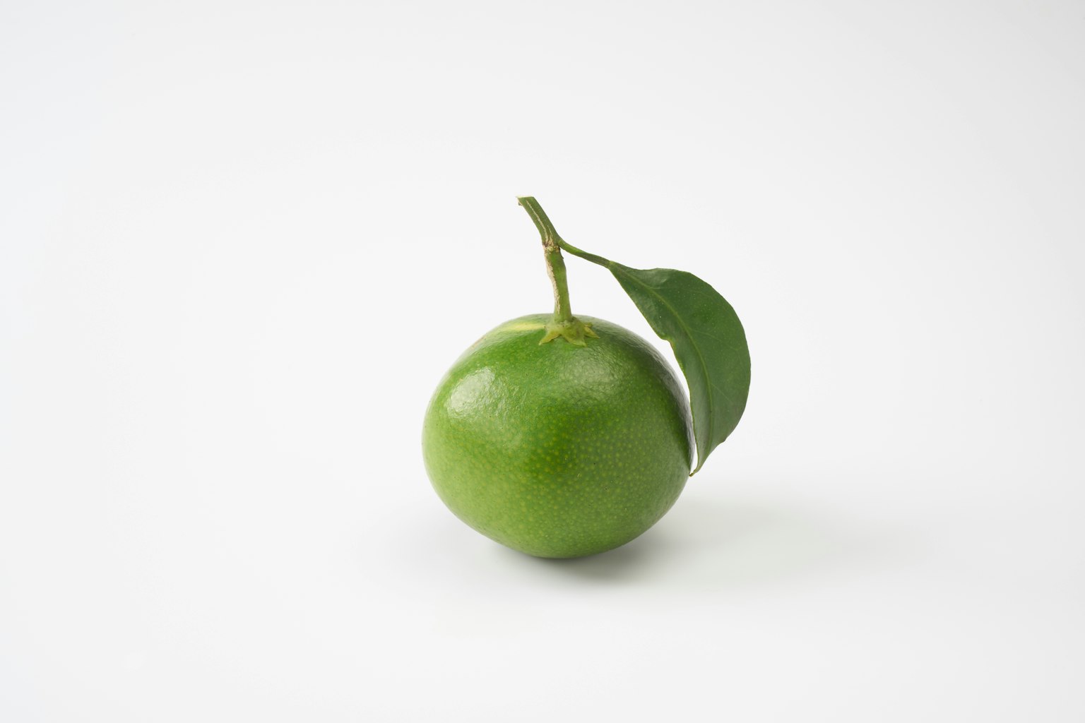 Un fruit vert avec une feuille sur fond blanc