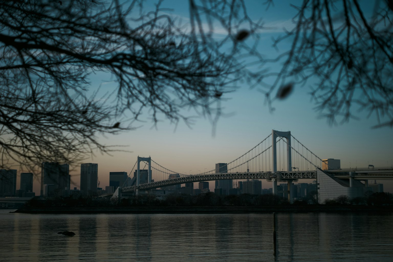 黃昏時分彩虹橋和東京摩天大樓的輪廓