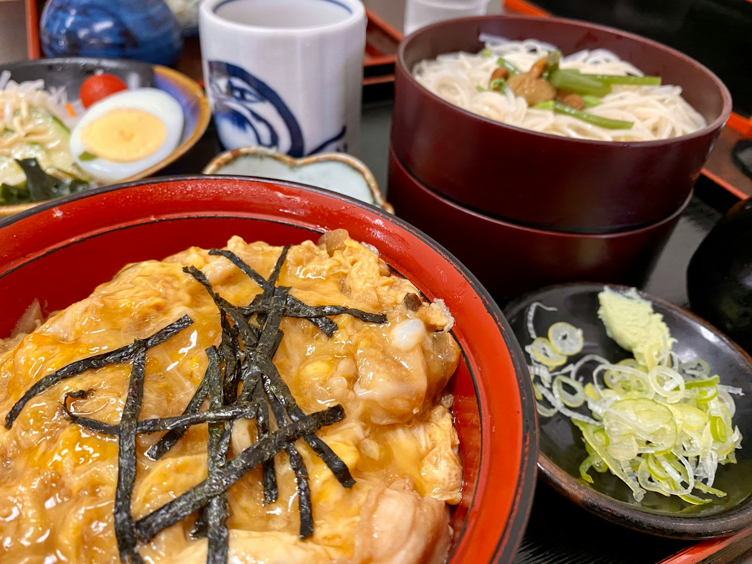 Bol de riz japonais avec poulet et œuf garni d'algues