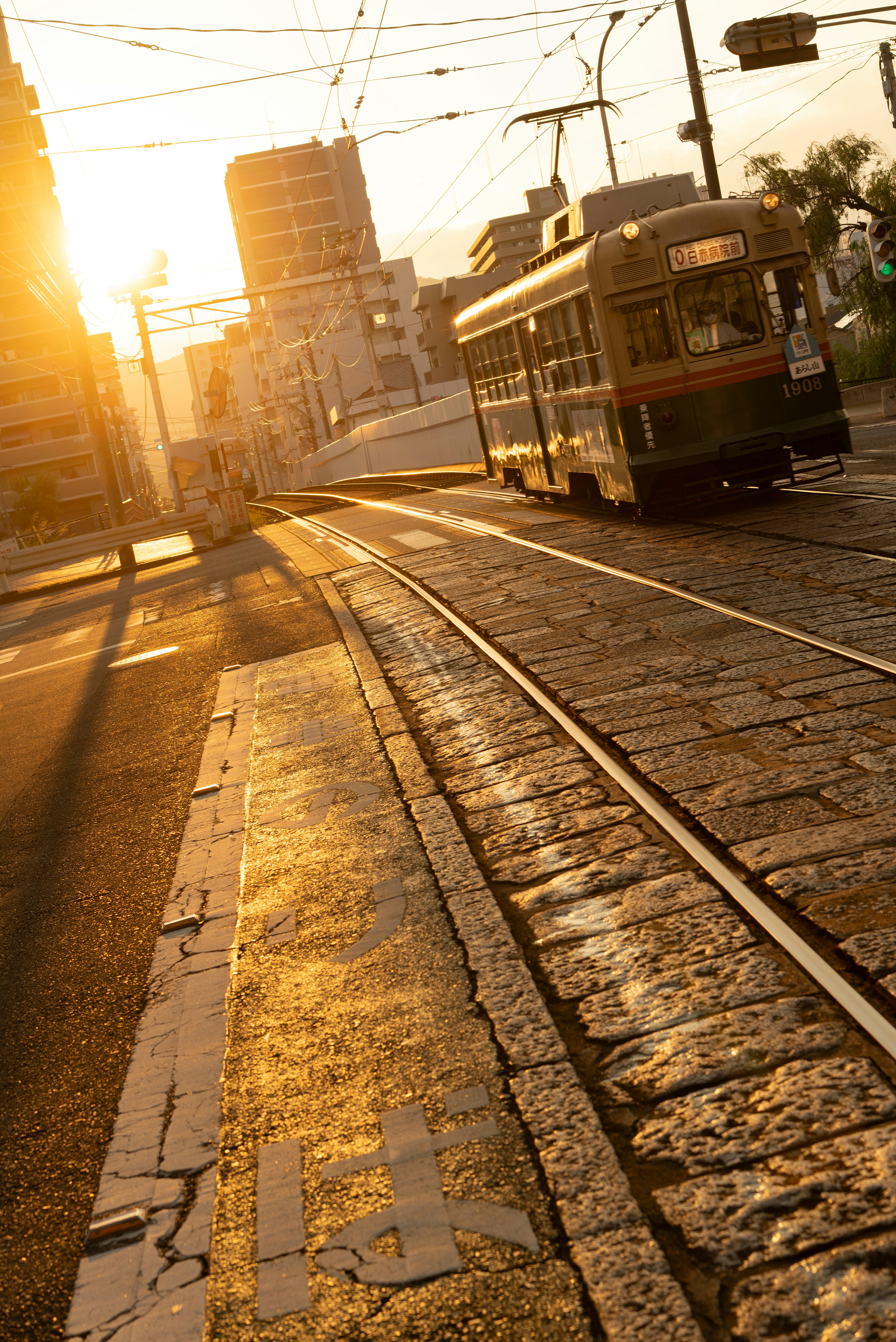 夕陽下的城市軌道與有軌電車