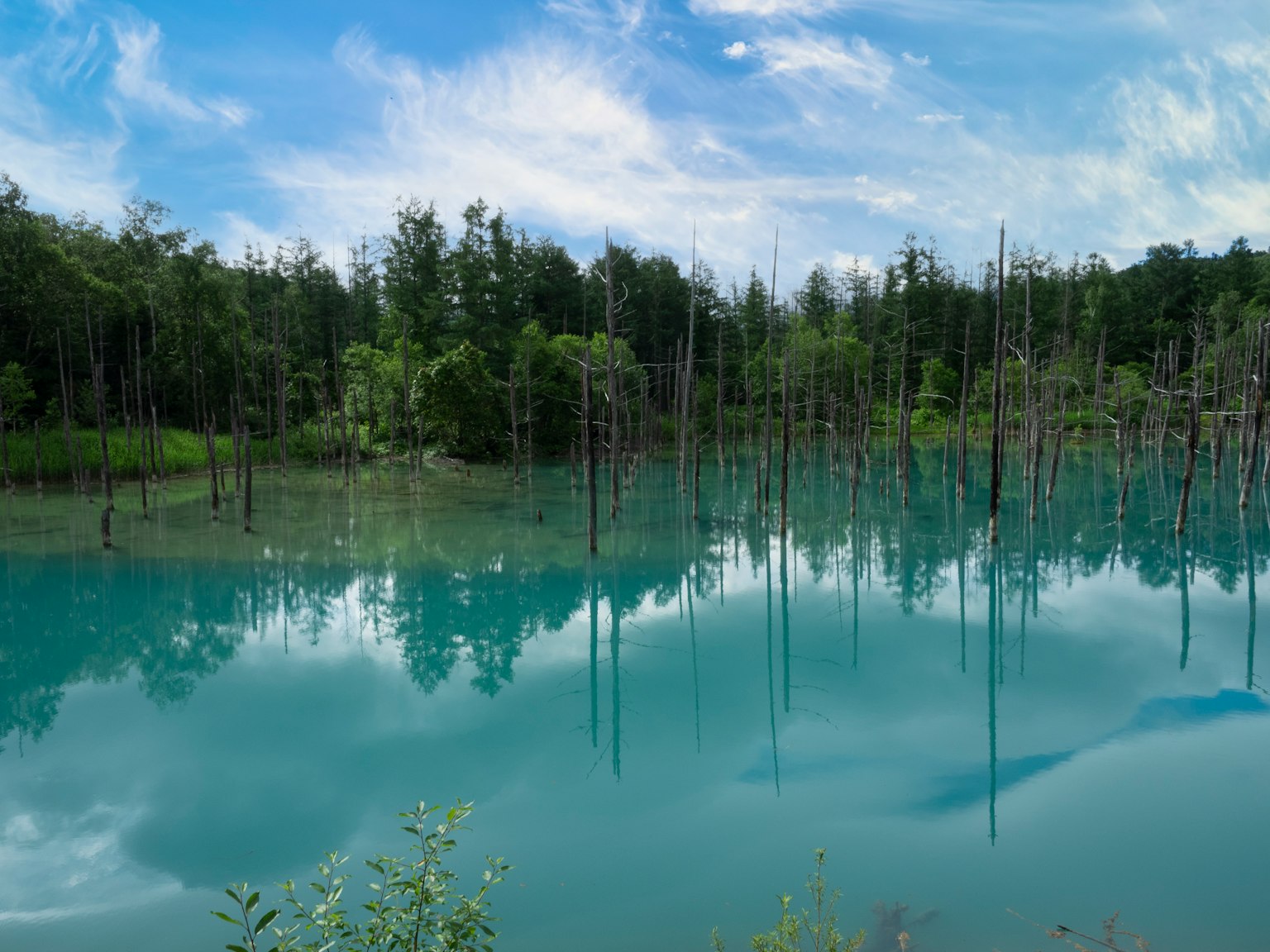 Riflesso degli alberi su un lago turchese in un ambiente naturale sereno