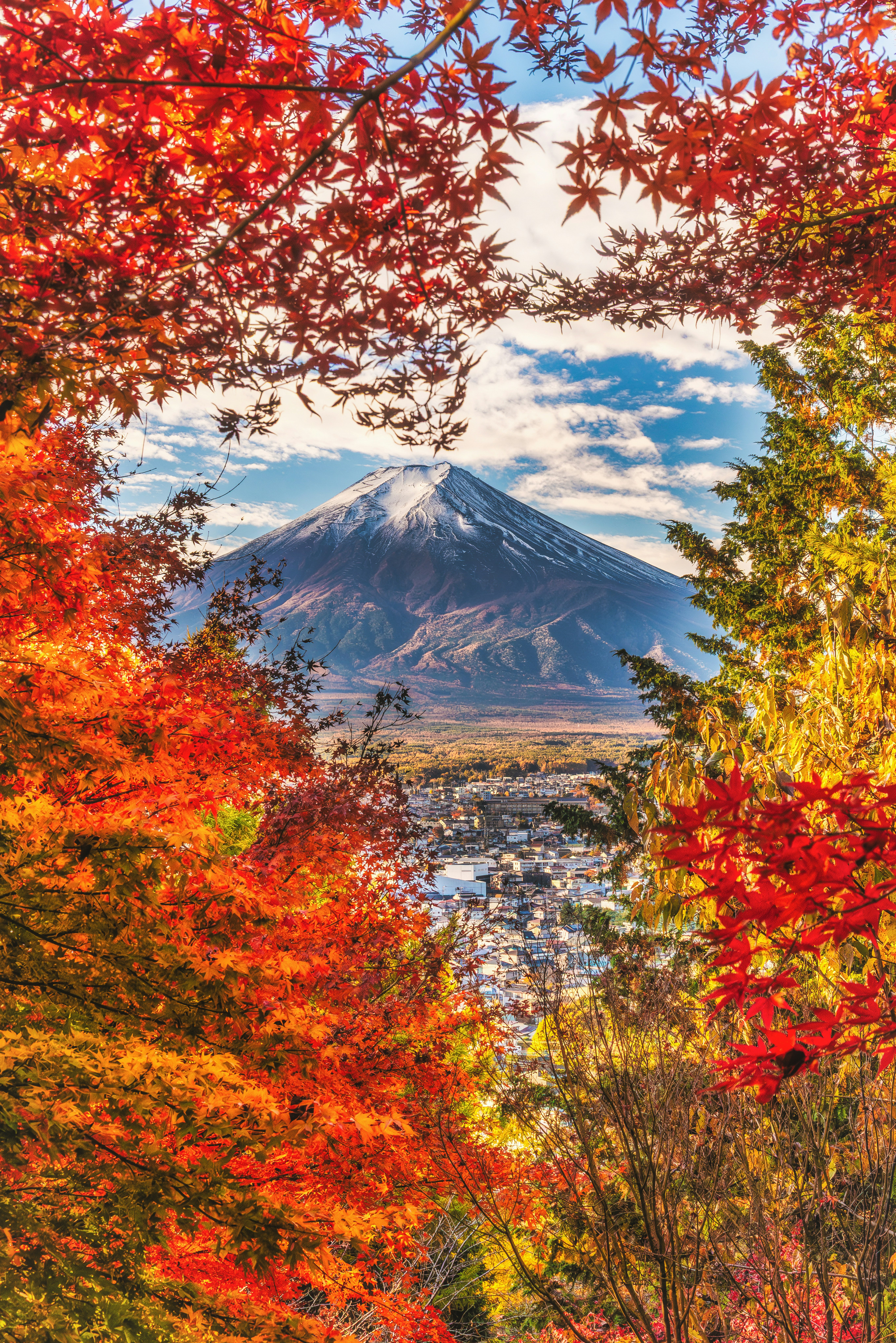 秋季富士山被爱心相框框住的红叶景色