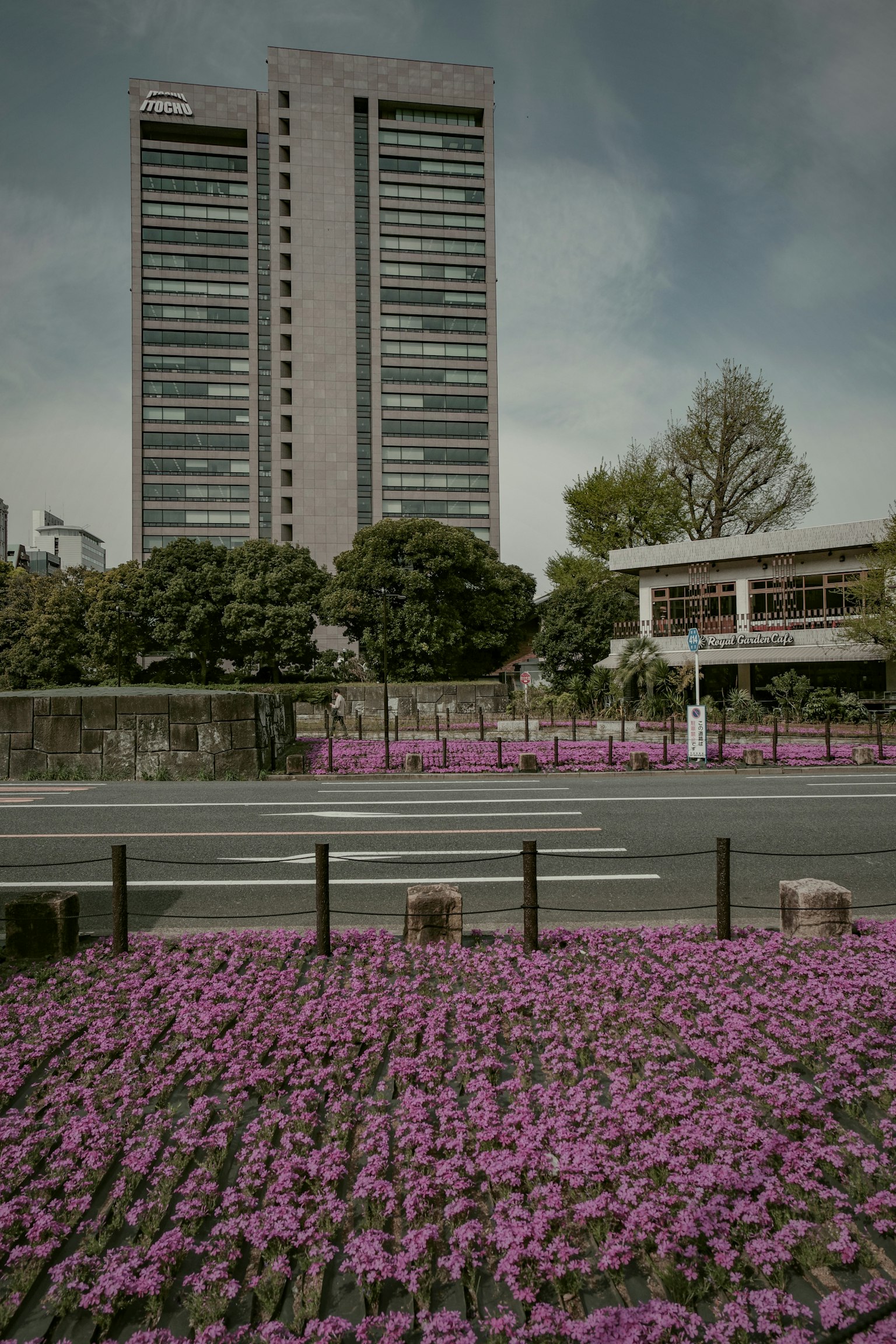 Paisaje urbano con un edificio alto y un campo de flores moradas