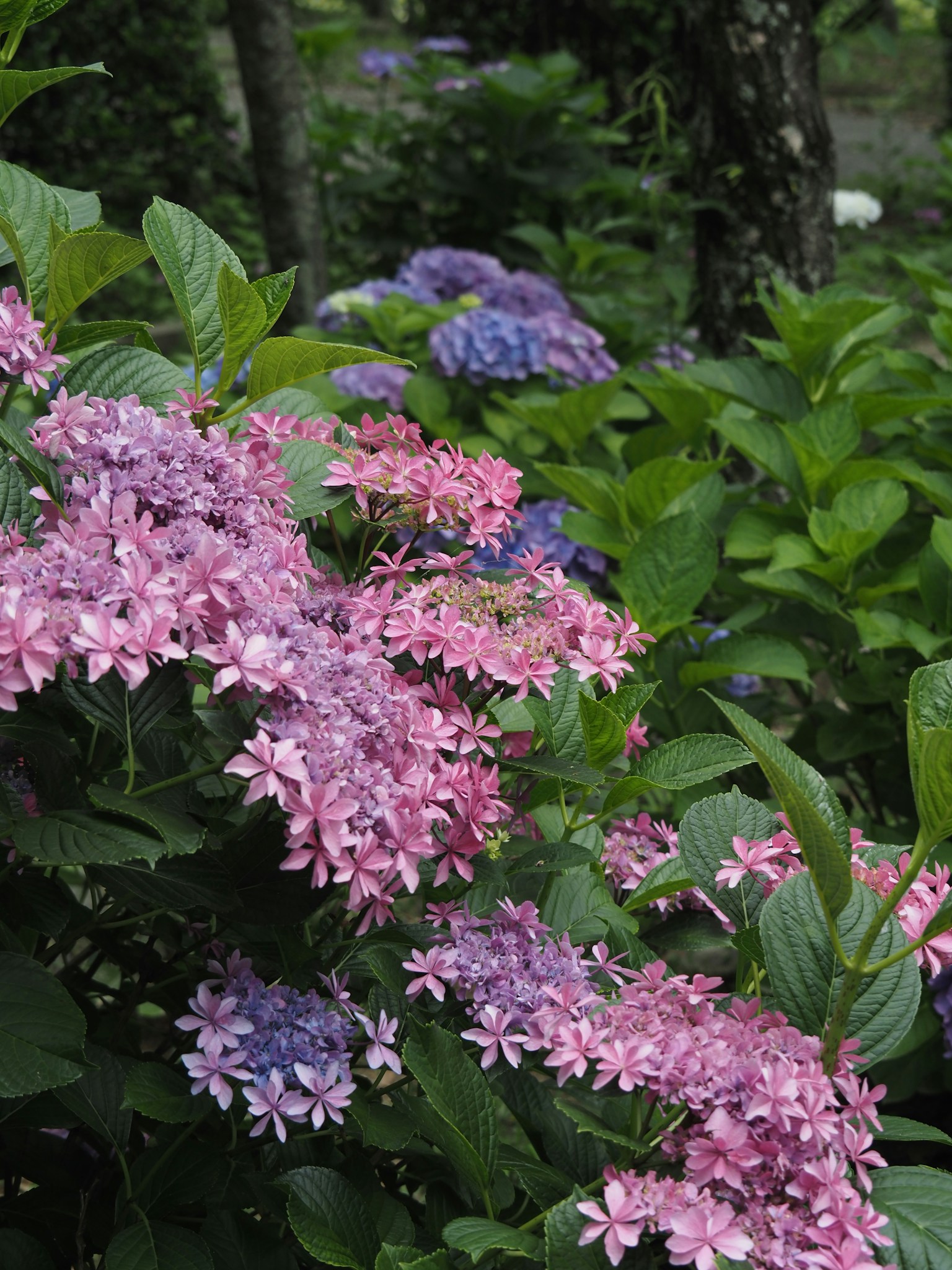 photo-W7Dj5MT41Id74KXj562z-image
